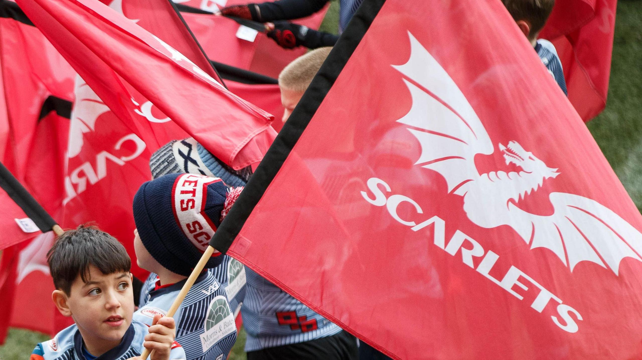 Scarlets flags are flown by young fans