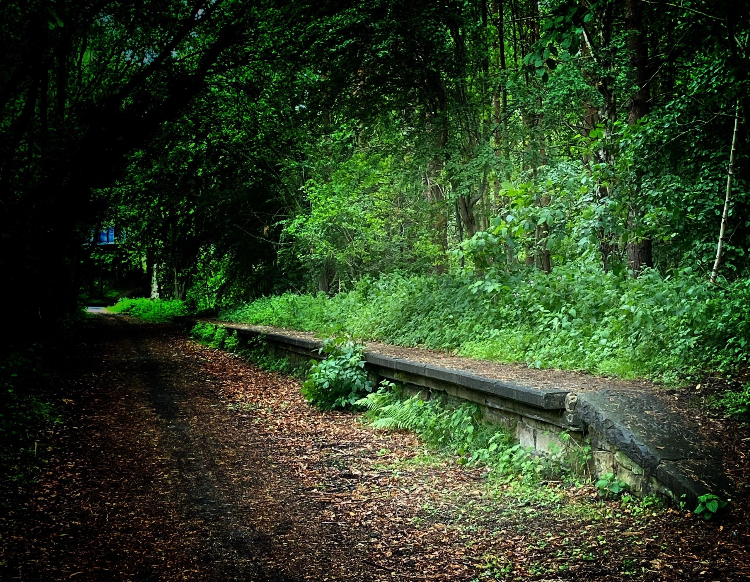 An old disused railway platform covered in green plants