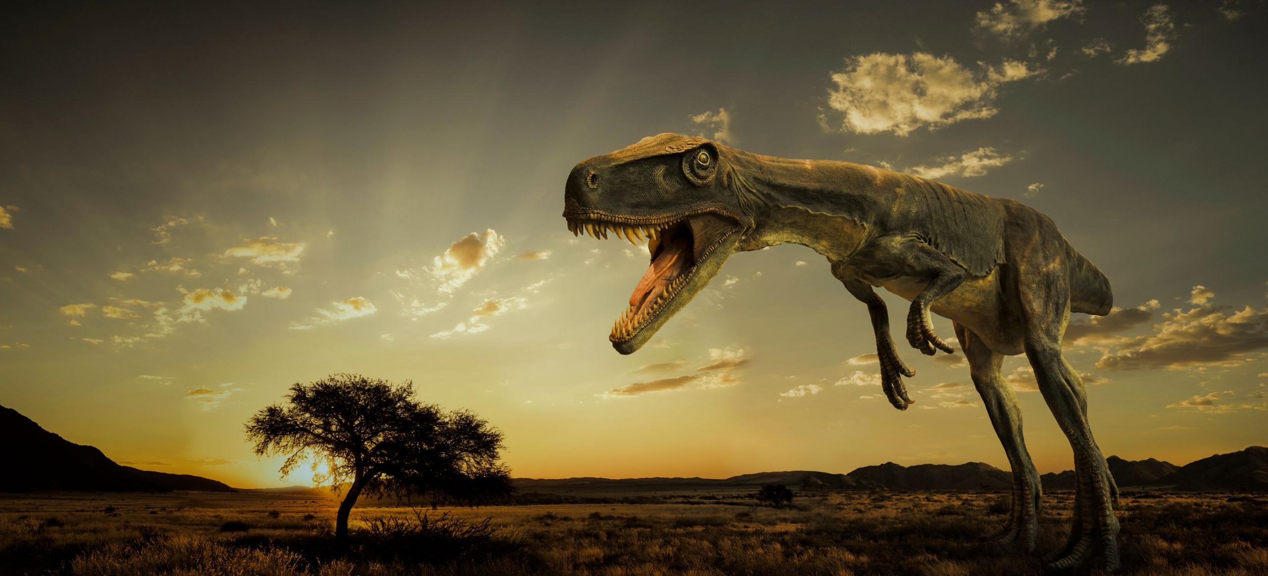 Artistic impression of Herrerasaurus 