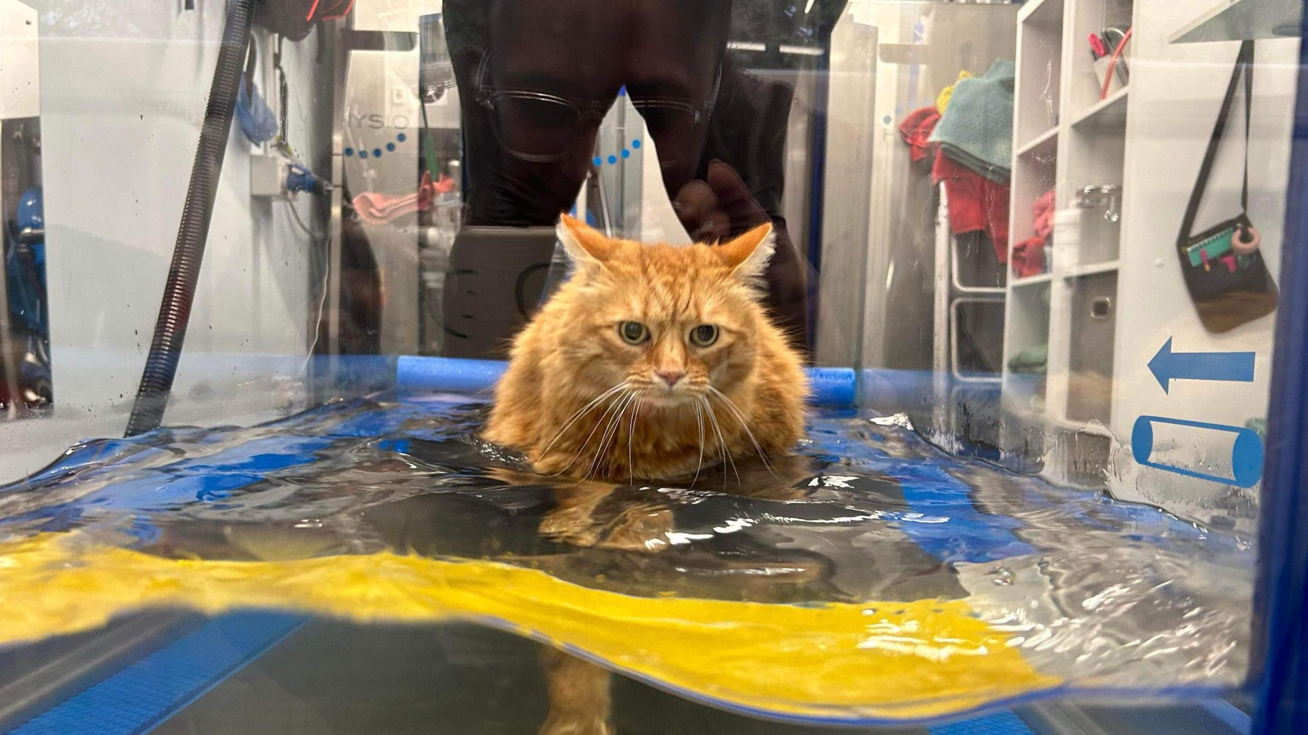 Moses in the hydro tank