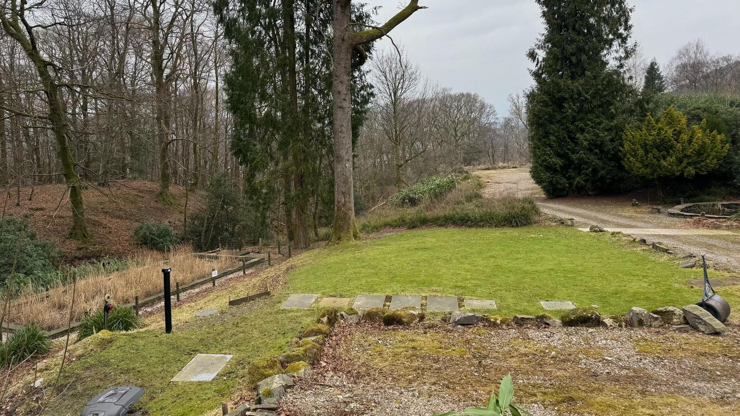 Patch of grassy land and trees in the background. There is a tank underneath the grass. 