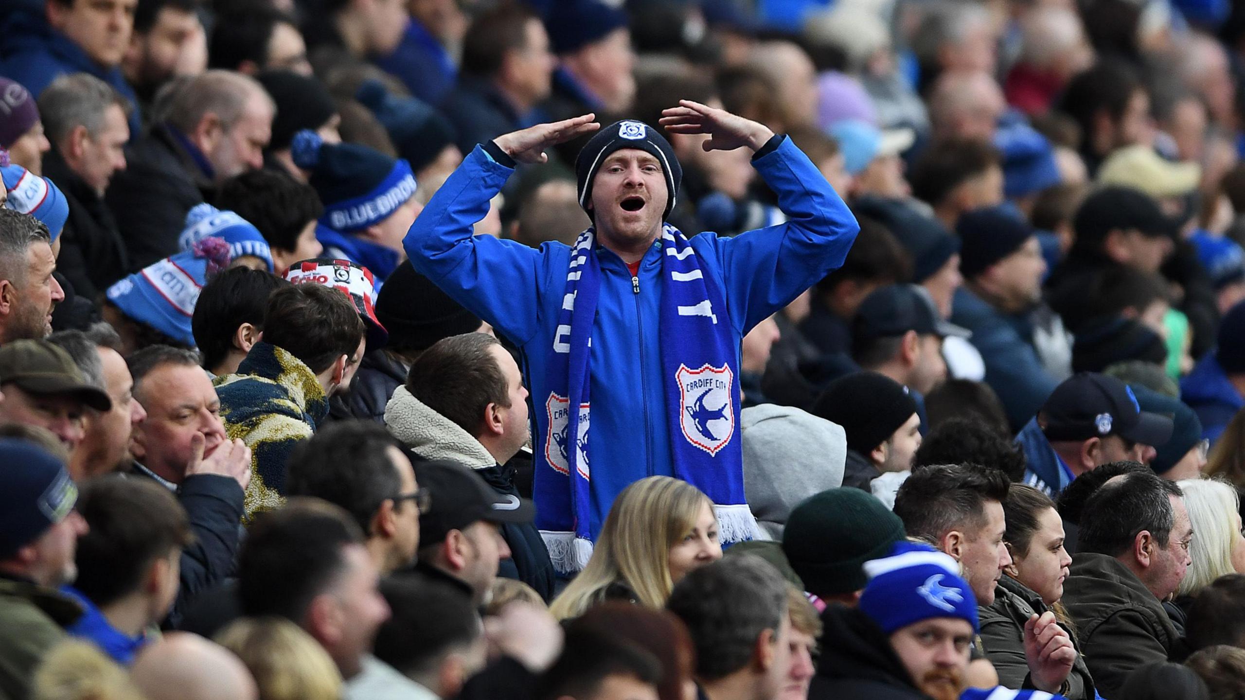 Cardiff City fans