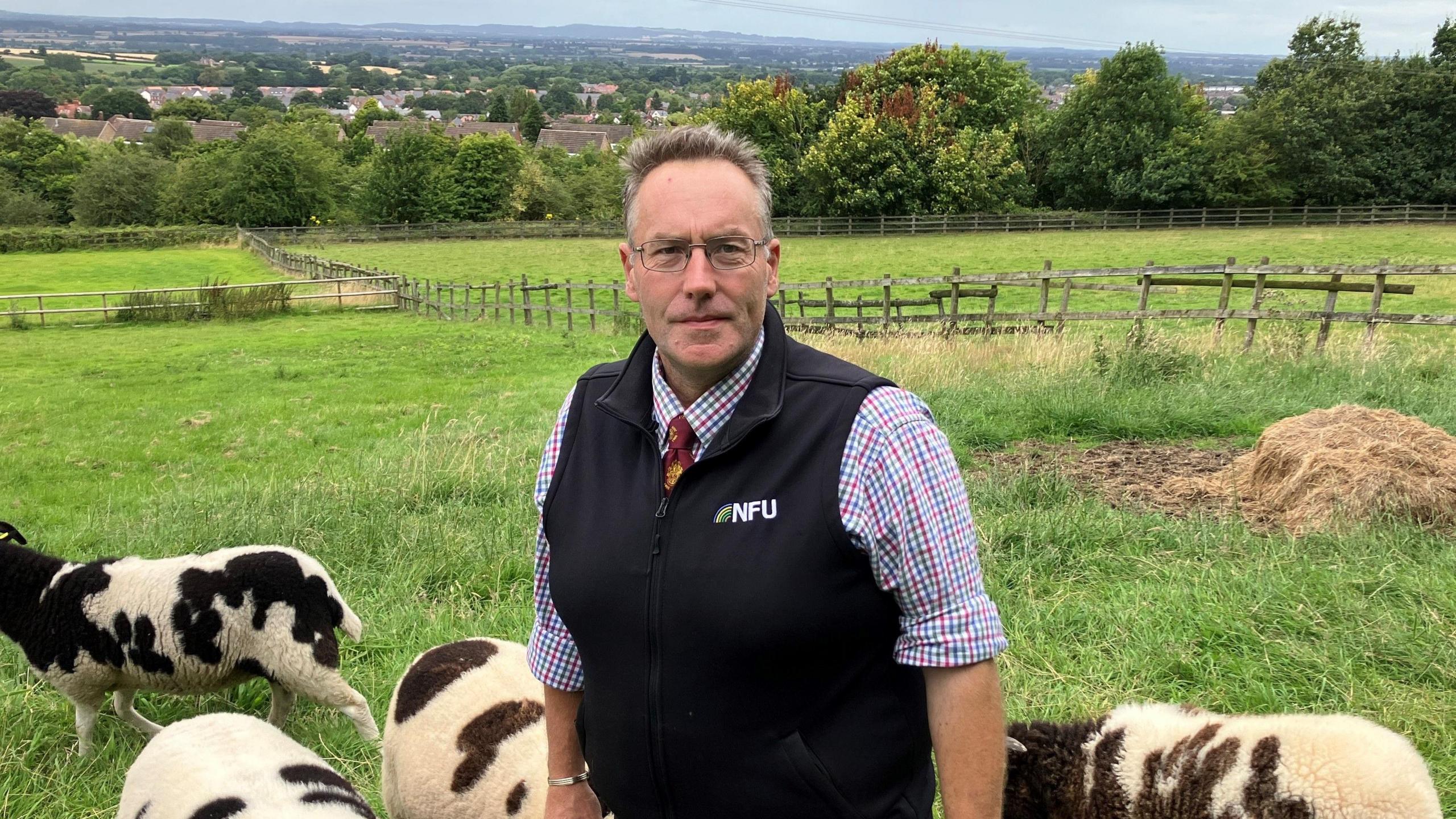 A man stands in a field in front of sheep wearing a checked shirt with a waistjacket over it which has NFU embroidered on the breast pocket. He has short dark hair, swept back and wears glasses