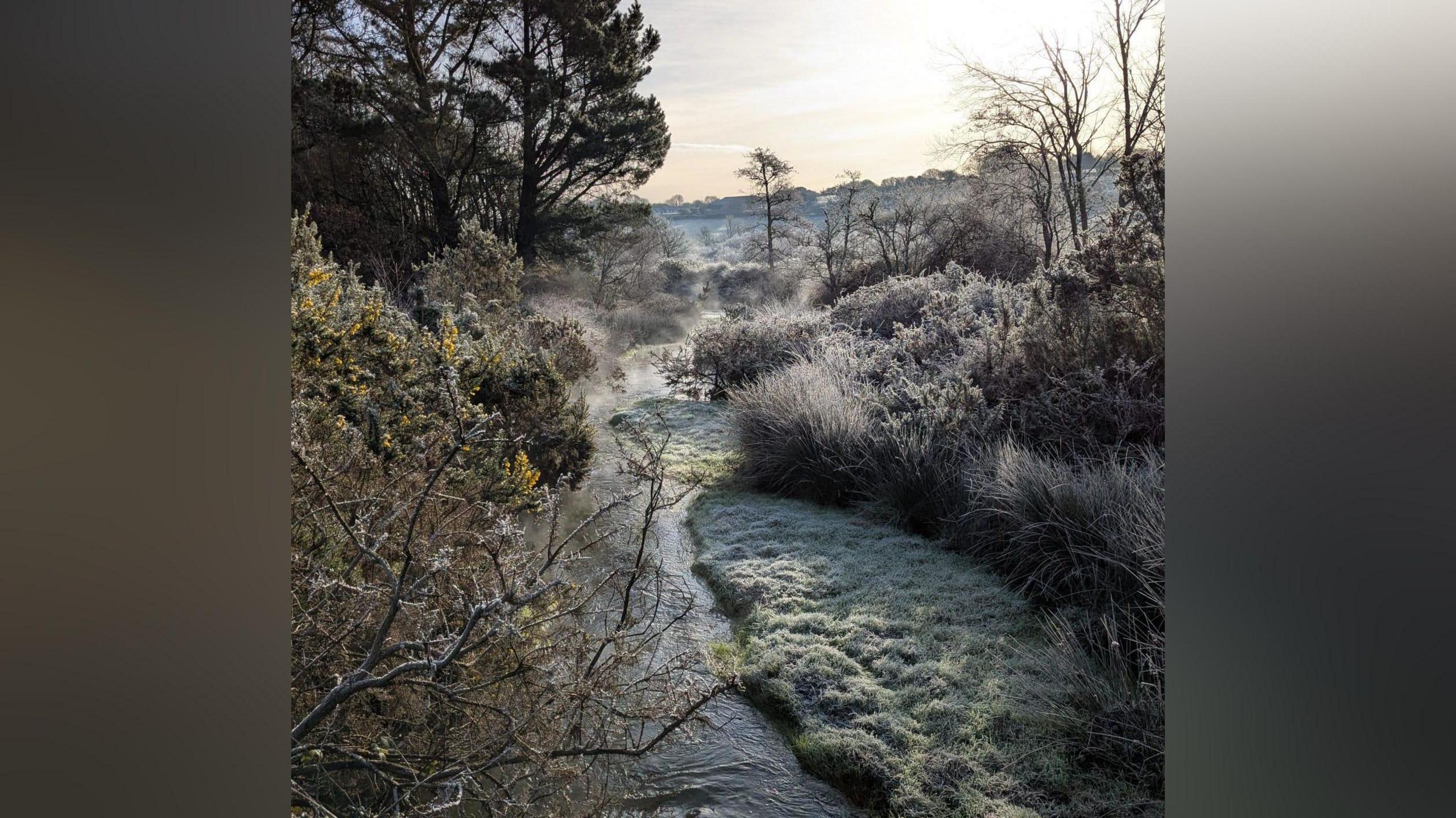 A view of a creek cutting through frosty forest