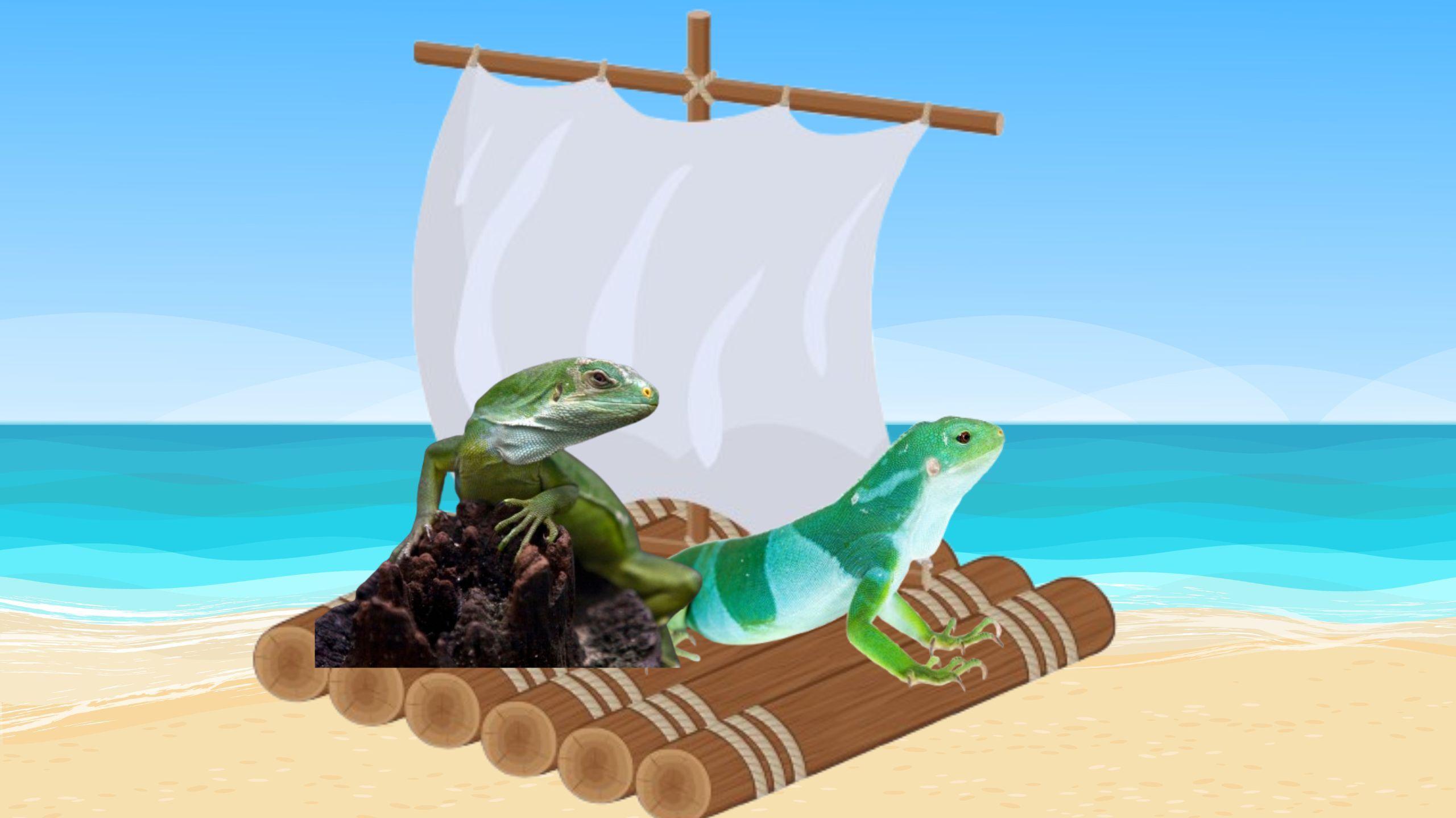 two iguanas on a raft