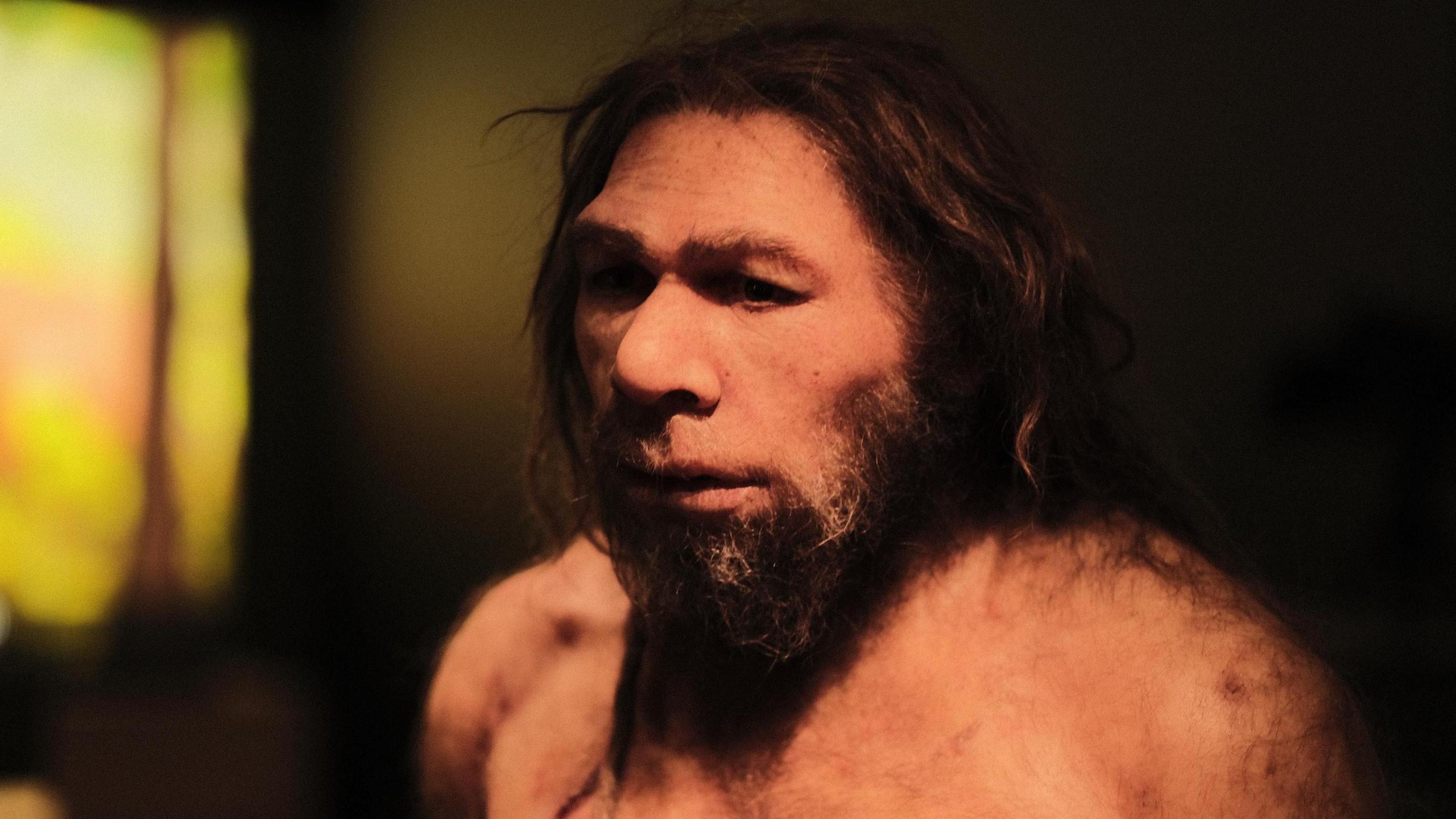 An early human is pictured within a display in the museum