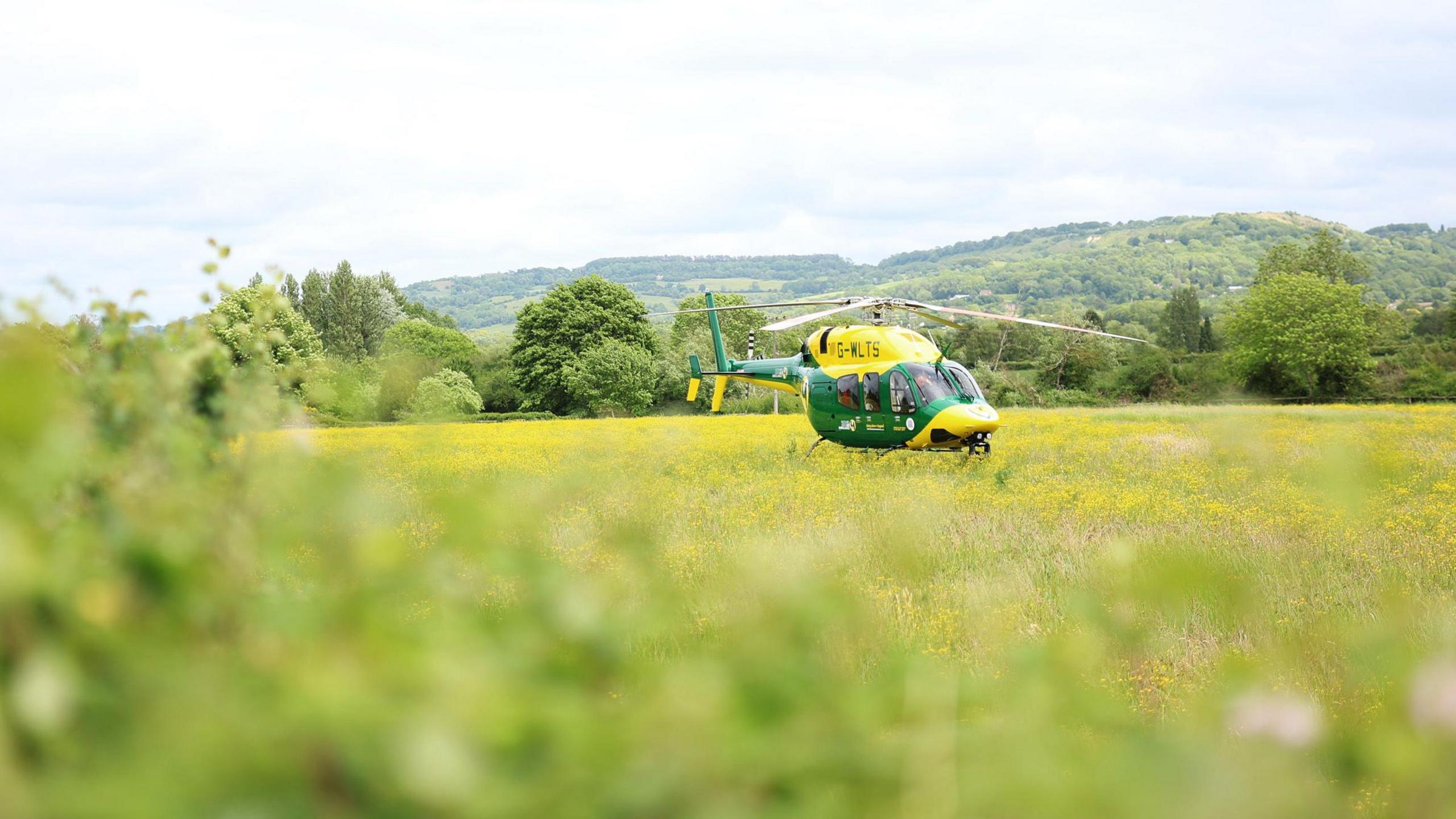 A green and yellow air ambulance lands in a field dotted with yellow flowers in the Gloucestershire countryside. Rolling hills and trees can be seen behind it.