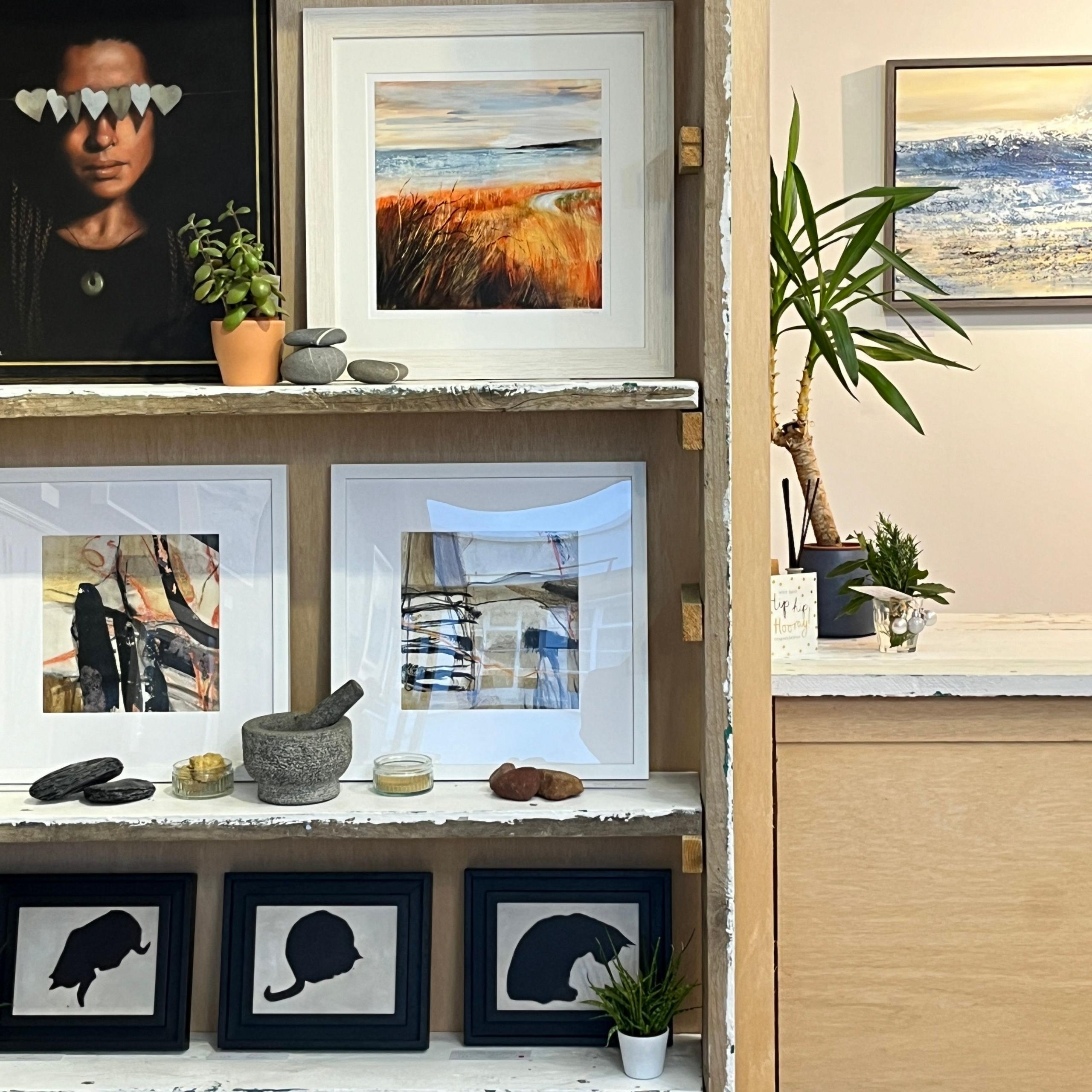 A selection of framed paintings, photos and 3d artworks on shelves, with a small tree next to it.