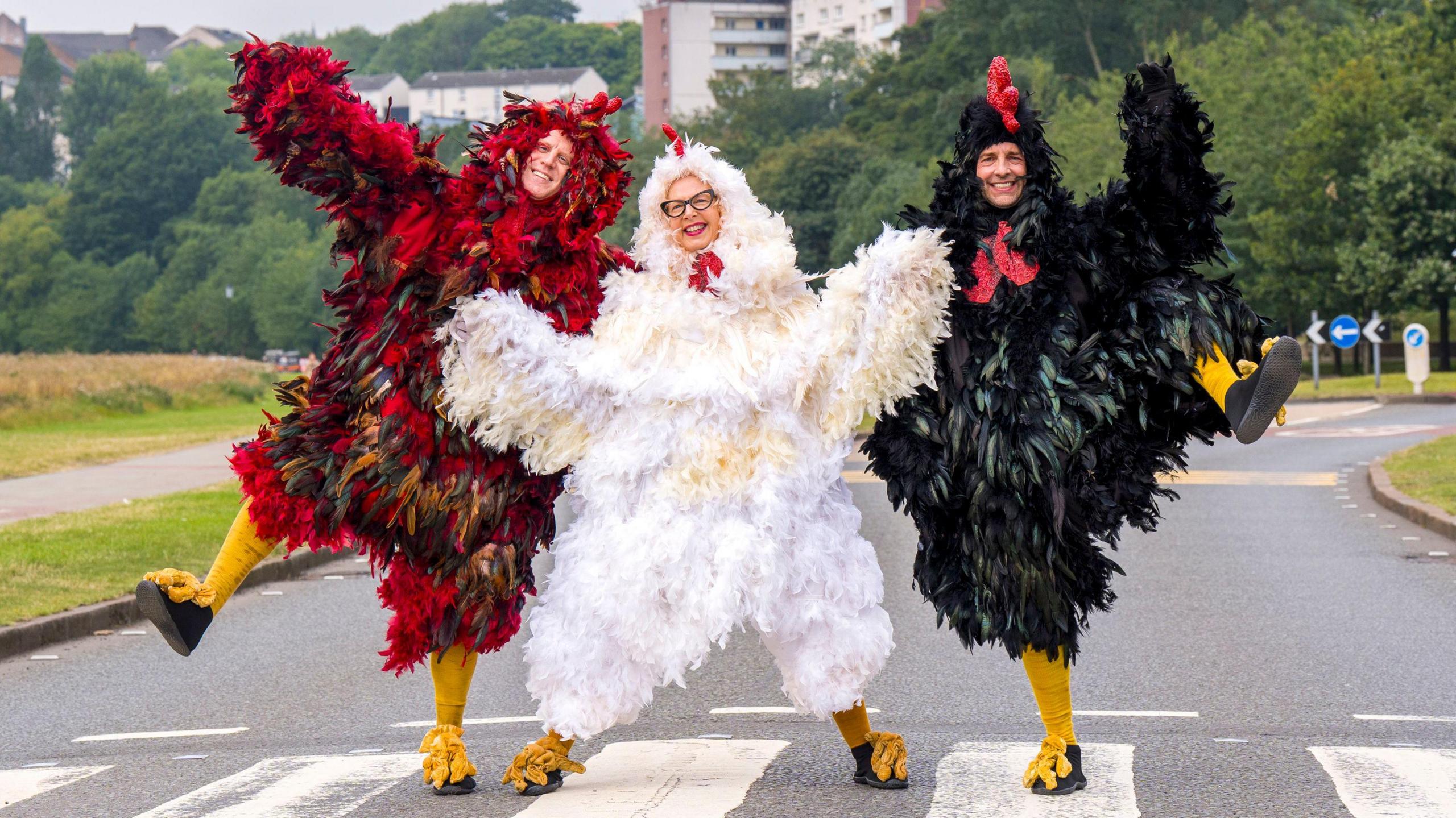 Three people dressed as giant red, black, and white feathered chickens cross the road on a zebra crossing in Holyrood Park, Edinburgh, during a photocall for their show Three Chickens Confront Existence.