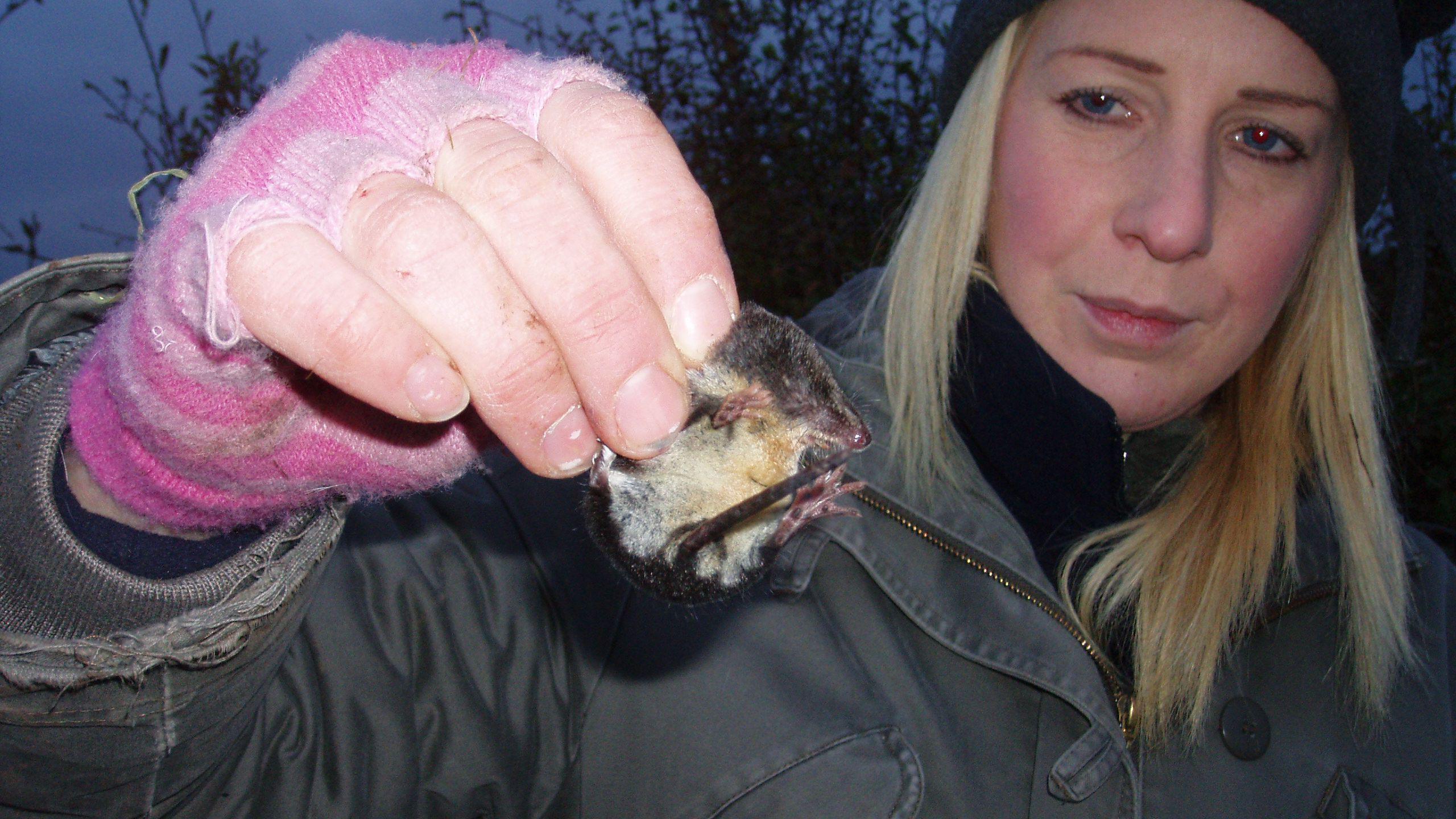 Anna holds up a water shrew. She is wearing pink fingerless gloves and a dark coat.