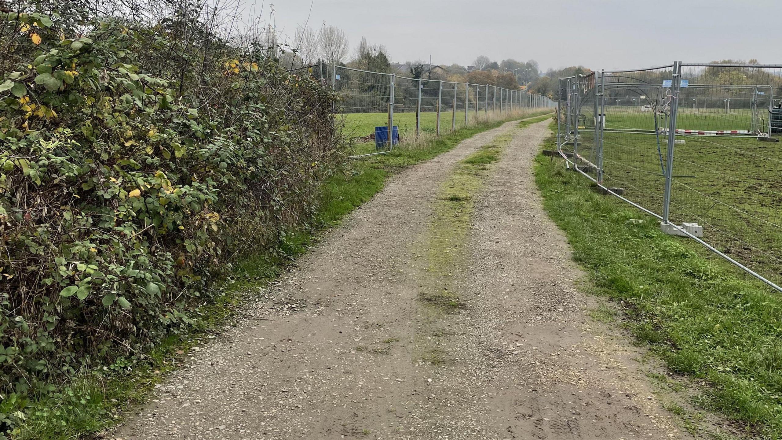 A country footpath enclosed by metal fences and with brambles on one side 