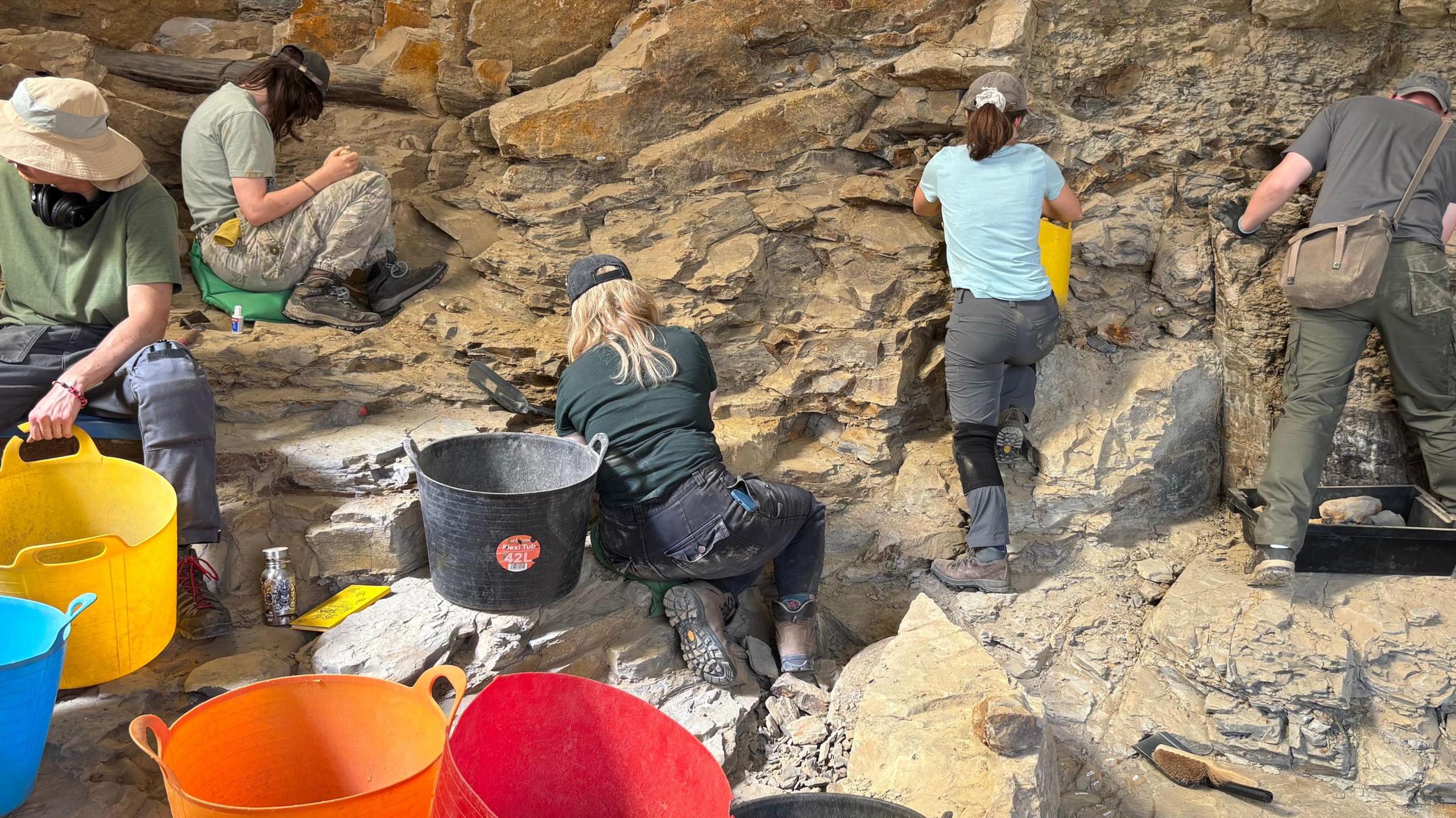 Student volunteers with buckets and tools are carefully excavating the site which resembles a rockface