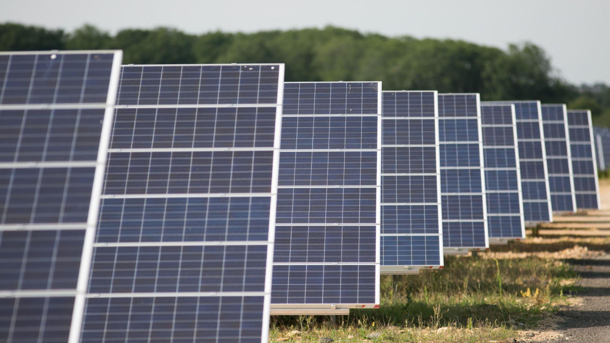 A general view of a solar farm. Rows of solar panels are placed in a field at a 45 degree angle. 