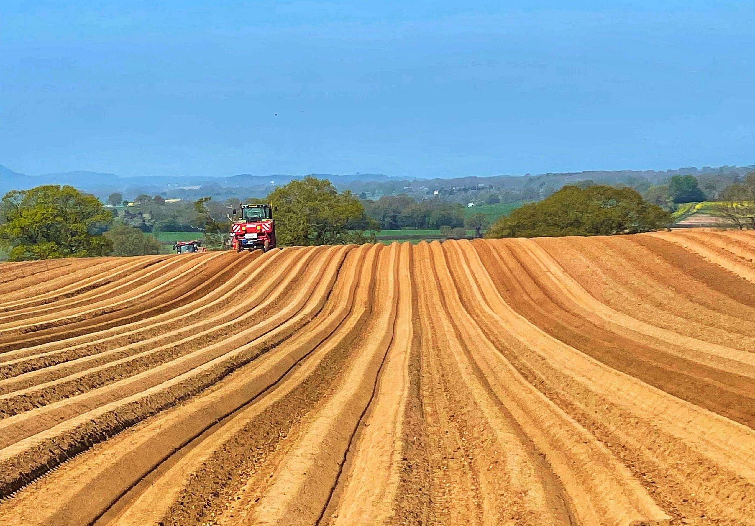 A tractor ploughs a field