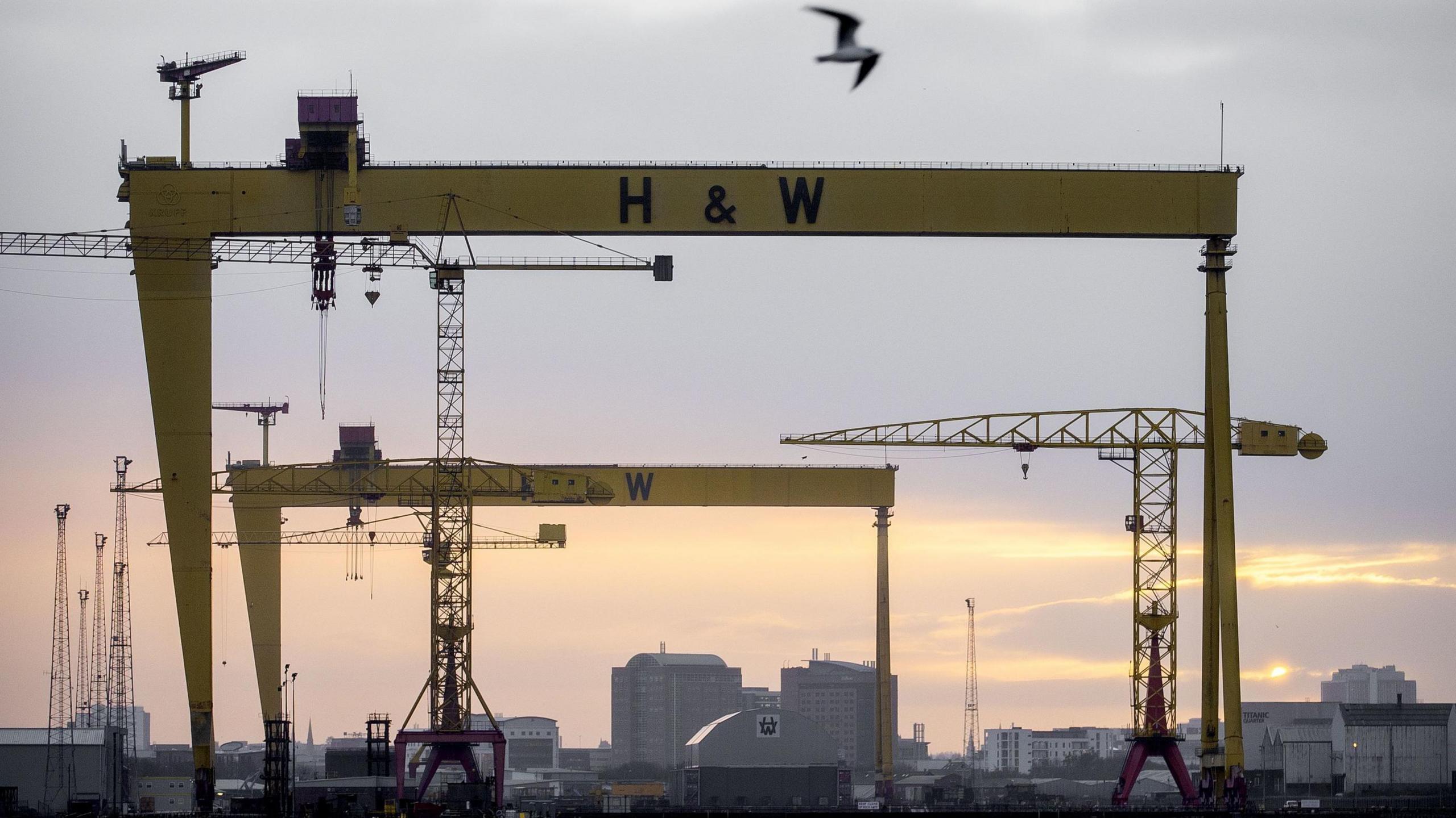 The two yellow cranes. A seagull is flying over them. The sky at the forefront of the camera is cloudy, but the sky is pink in the distance. 