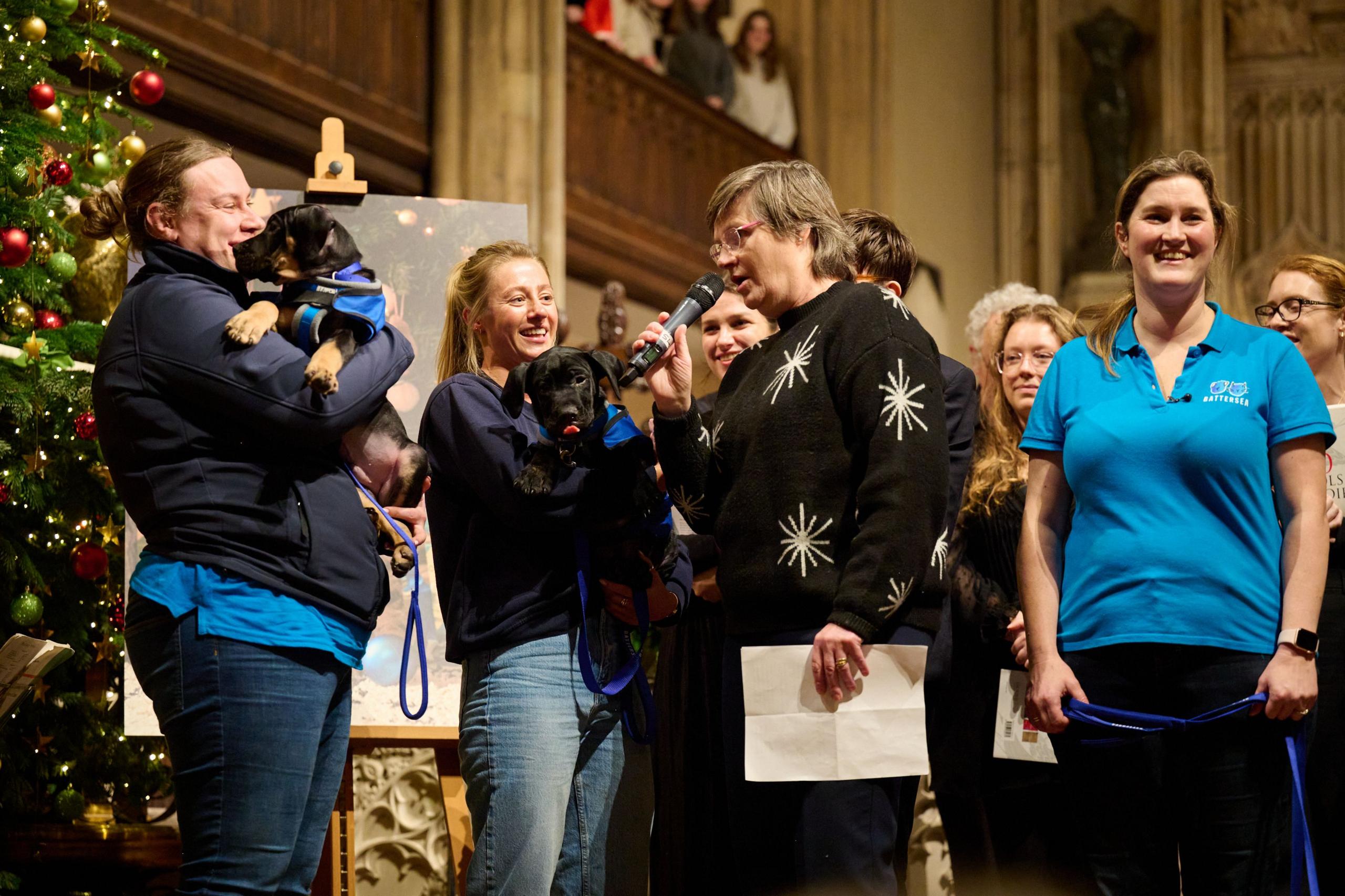 Battersea dogs home dogs attend a carol service 