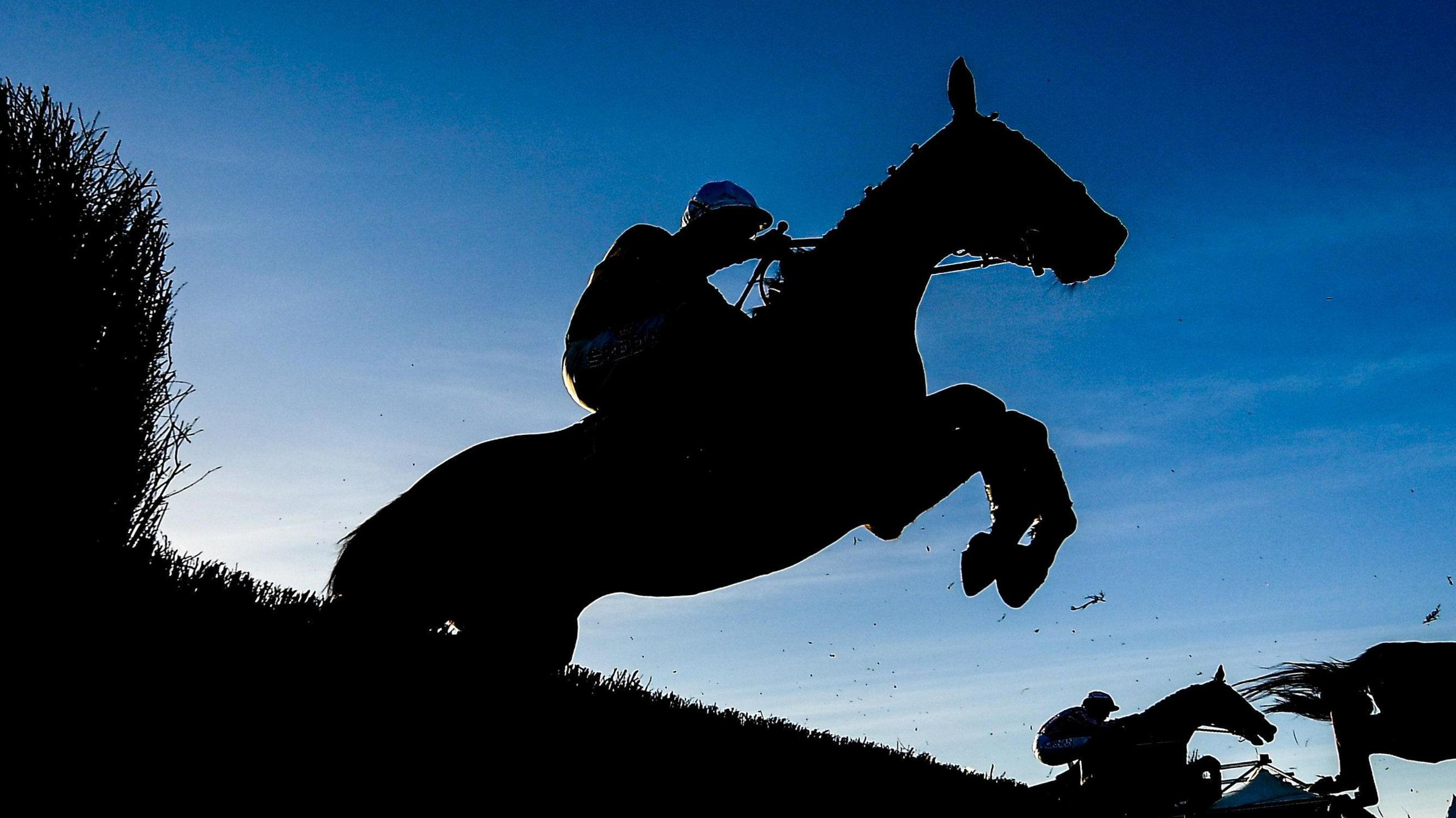 Silhouette of horses at Punchestown Racecourse