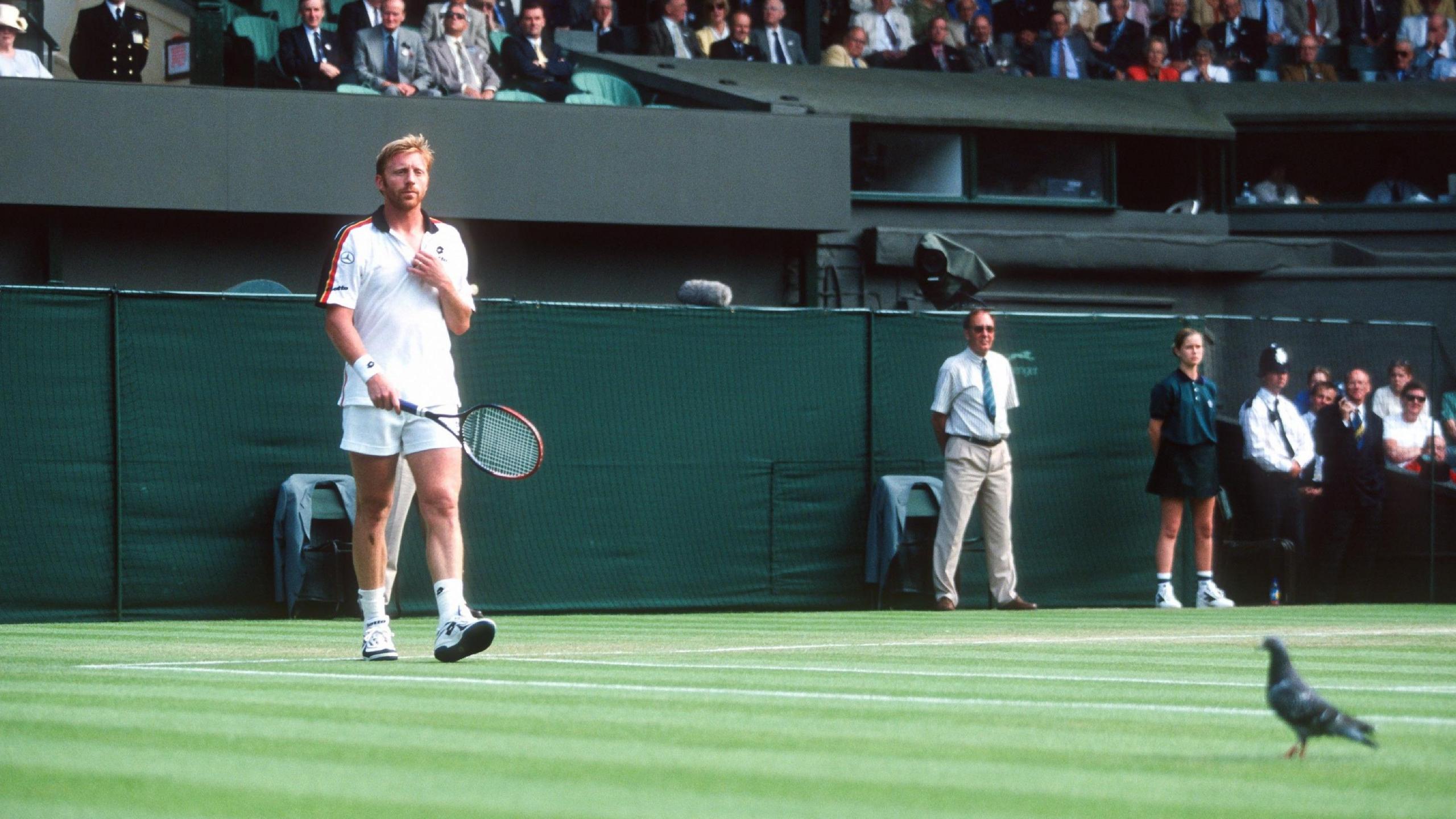 Boris Becker on court at Wimbledon in 1999. A pigeon is standing to the edge of the court as the player and crowd look on. Becker is wearing tennis whites and is holding a racket.