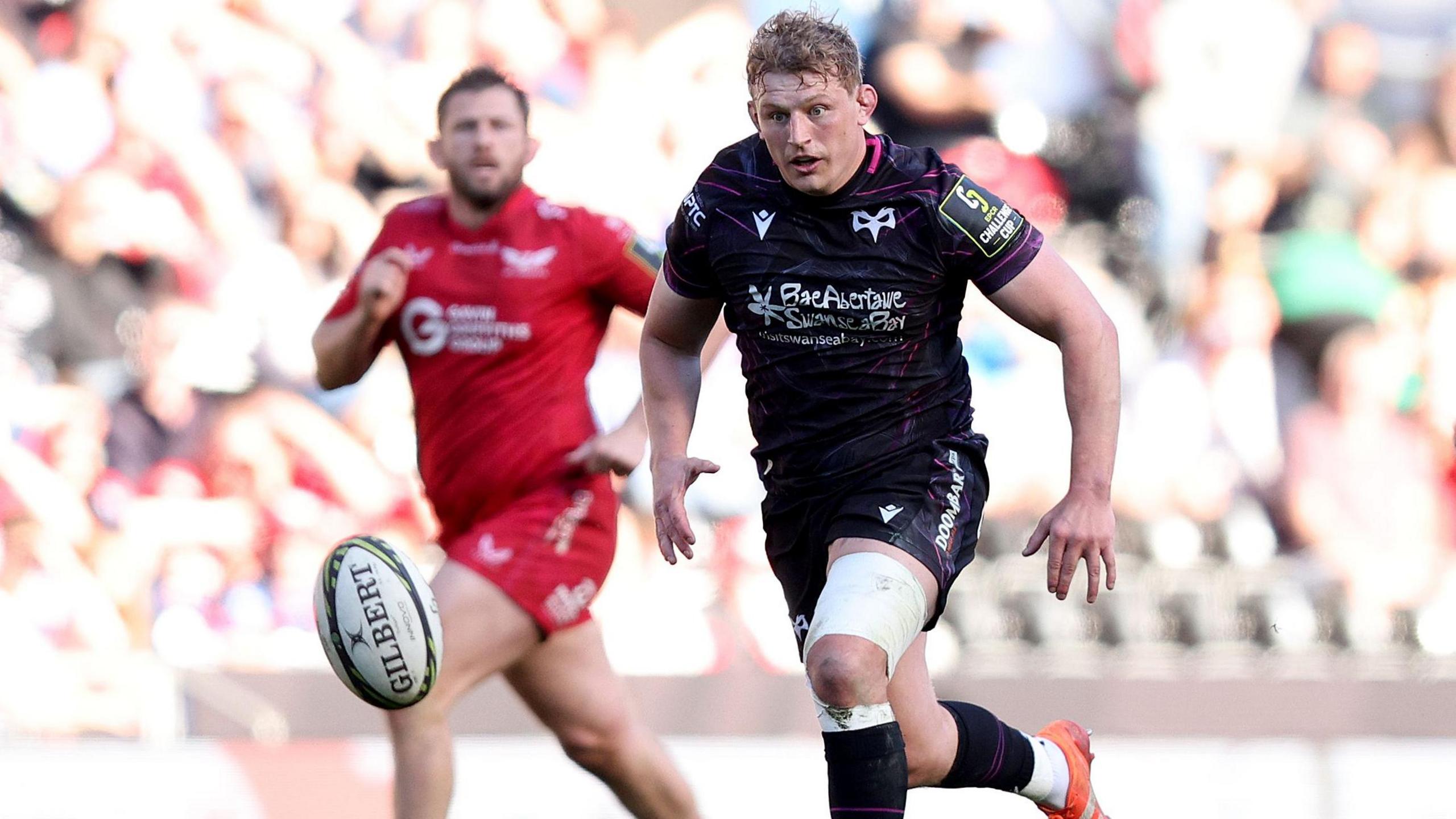 Gweilch yn erbyn y Scarlets