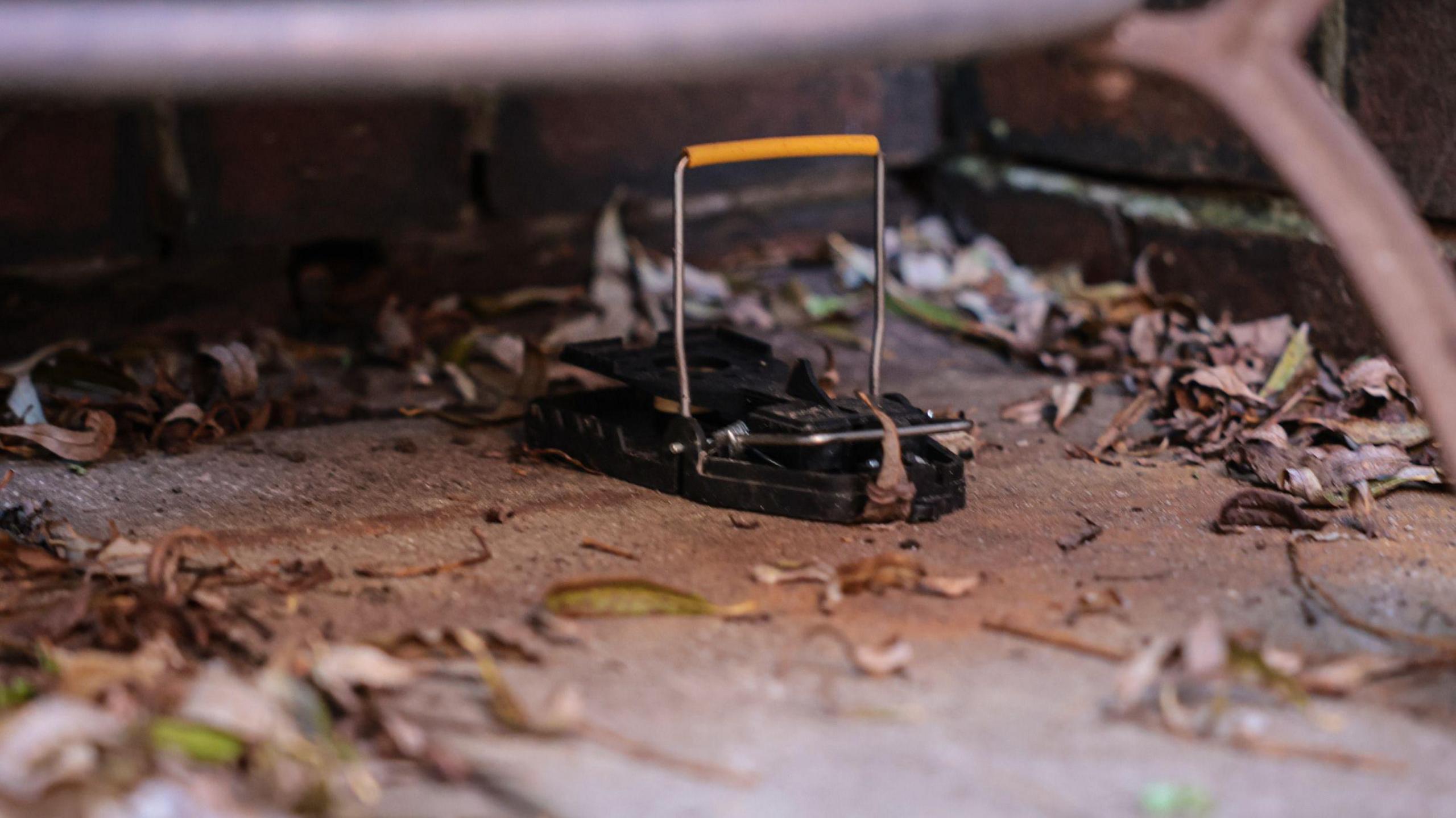 An image of a mouse trap with a yellow handle. 