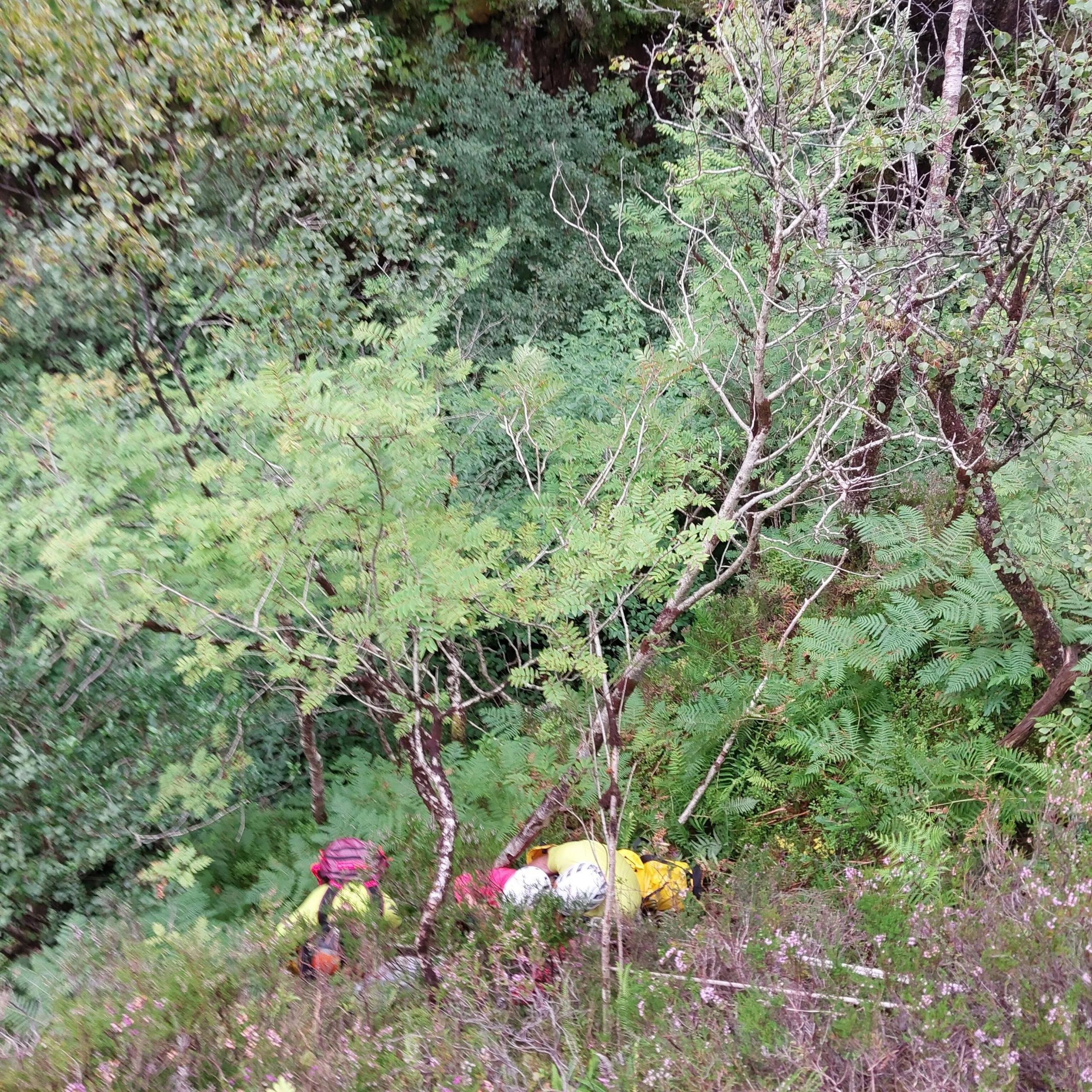 A wooded hillside with Mountain Rescue Team members on ropes clinging to the side of the gorge.