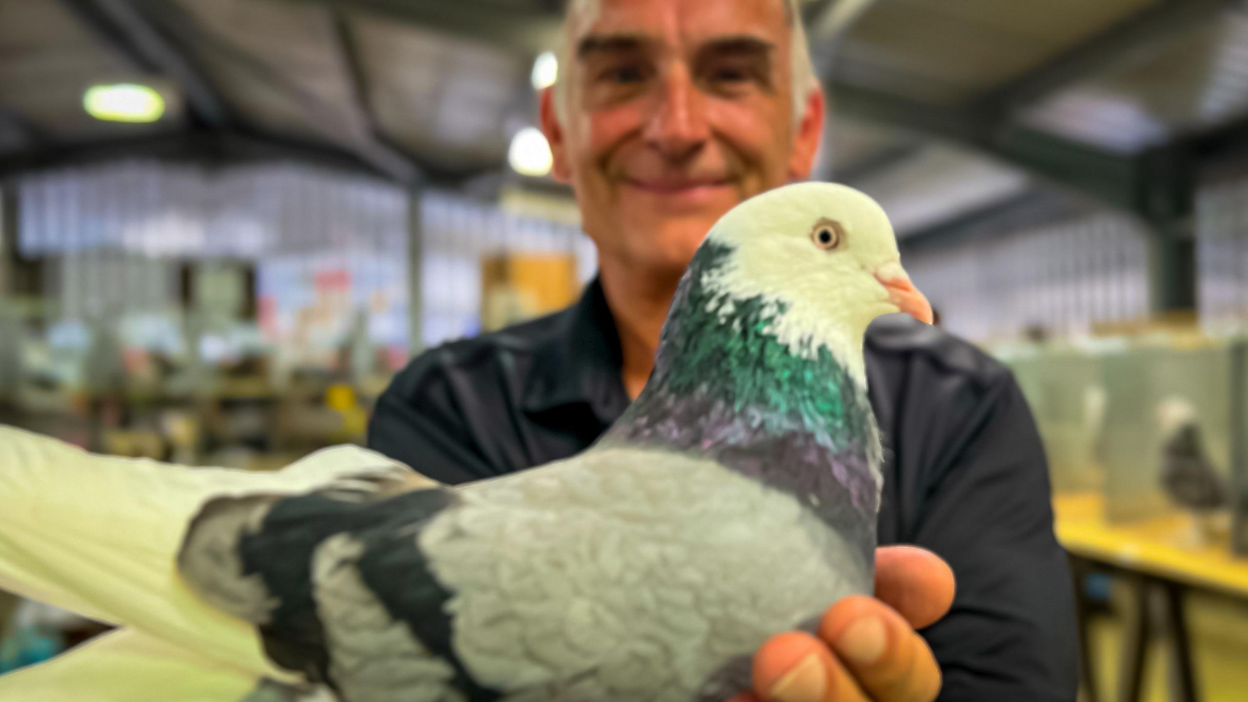 Man holding a colourful pigeon