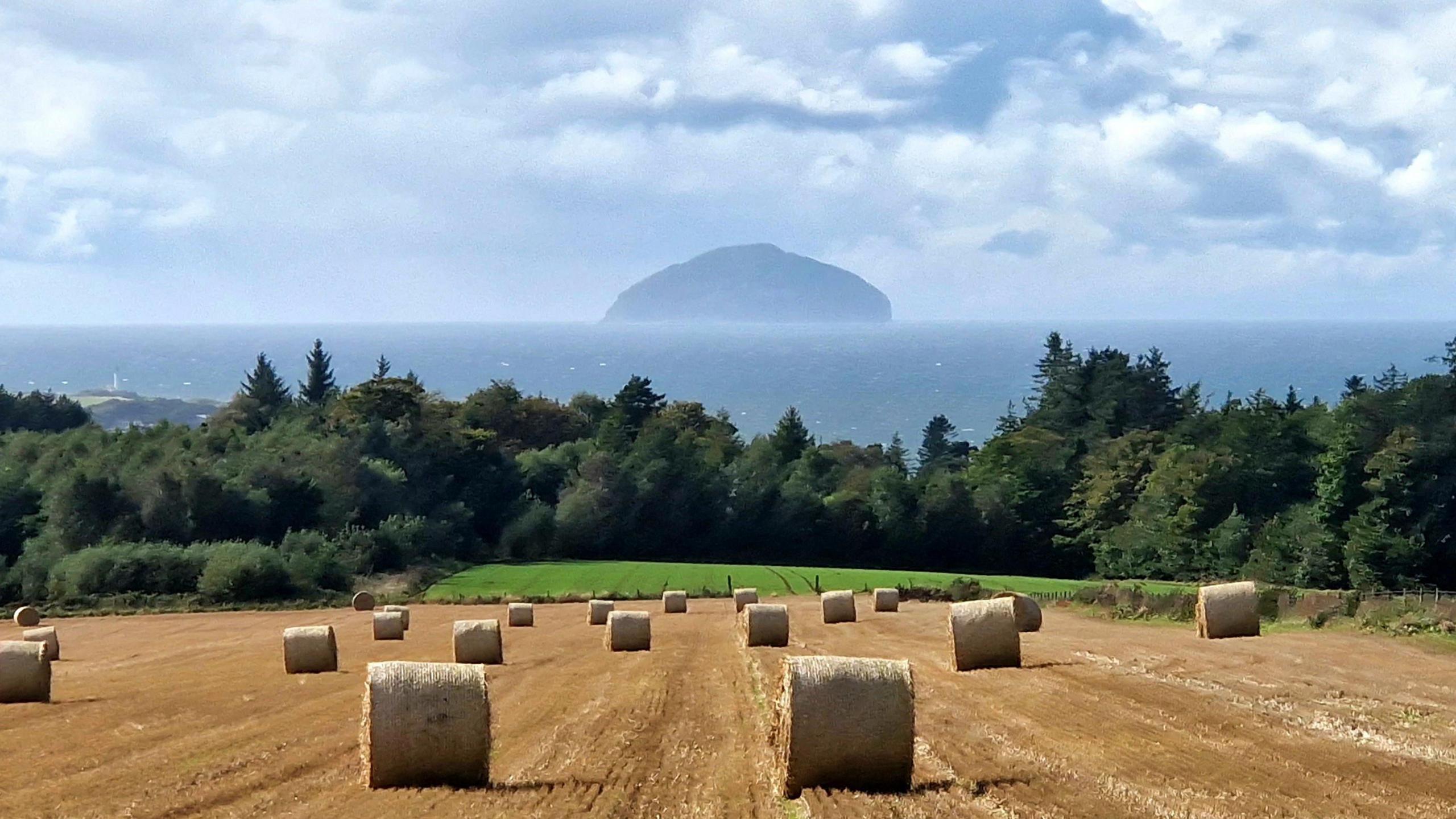 A field with hay bales on golden-coloured ground. There is a line of trees in the background in front of the sea, and an island covered by shadows in the distance under a cloudy sky.