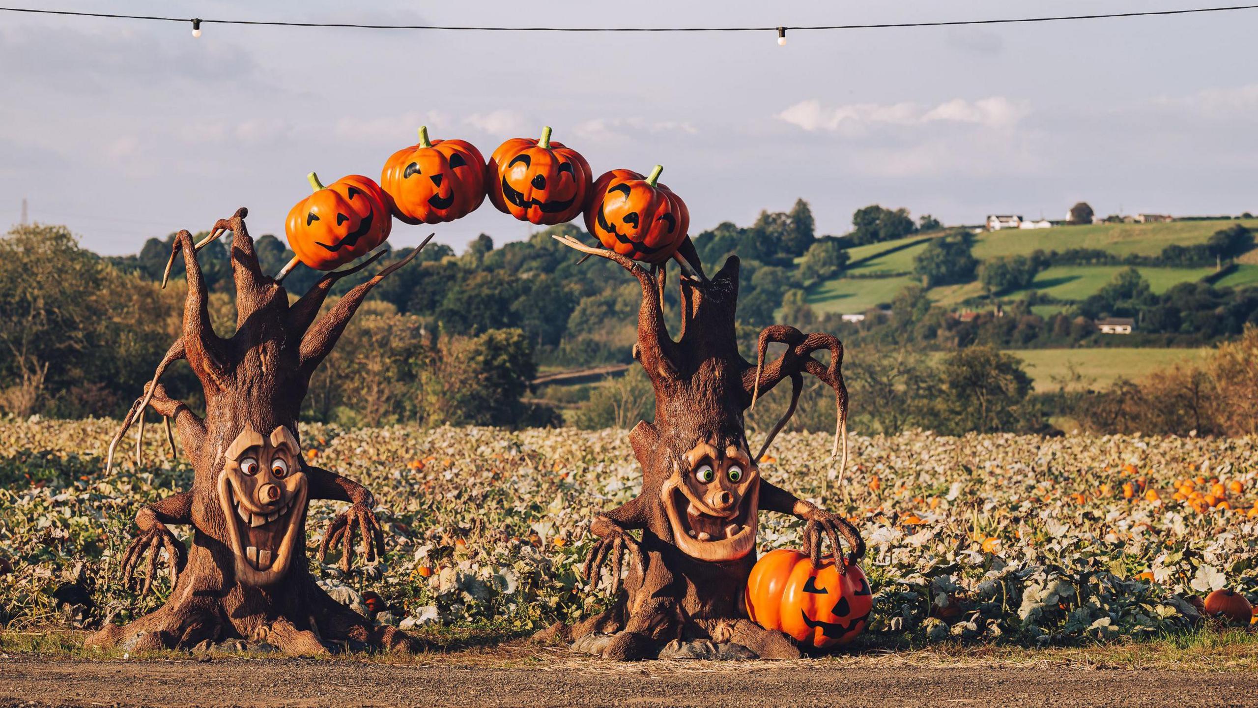 An arch made of trees with faces and pumpkins is the entry to a pumpkin field. There are lots of bright orange pumpkins in the field. There are green fields in the background with white buildings on the brow of a hill.