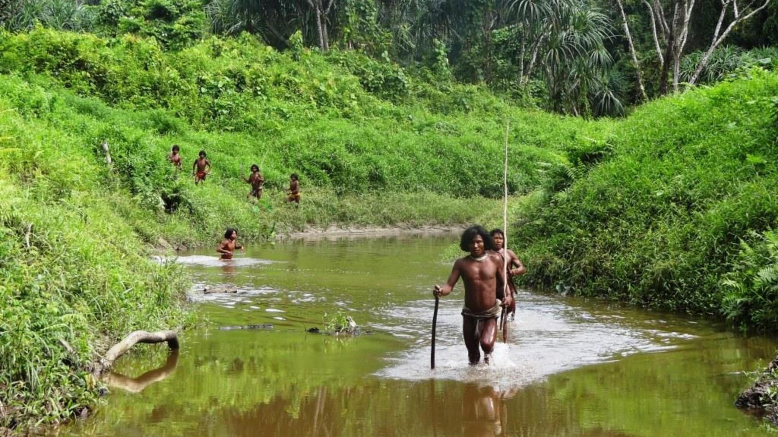 Members of the Shompen tribe walking through a river on the Great Nicobar Island