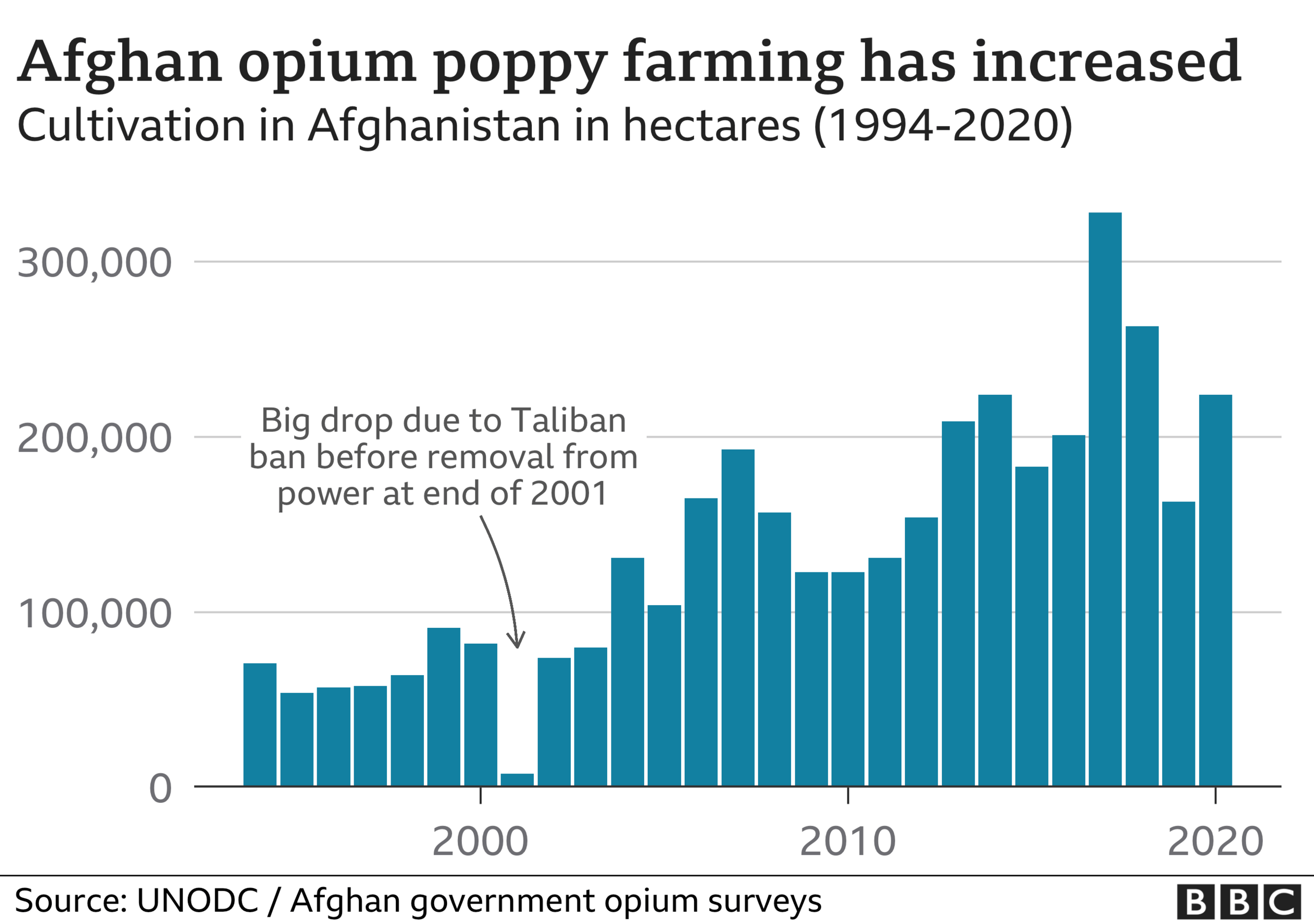 Chart showing opium production in Afghanistan has increased