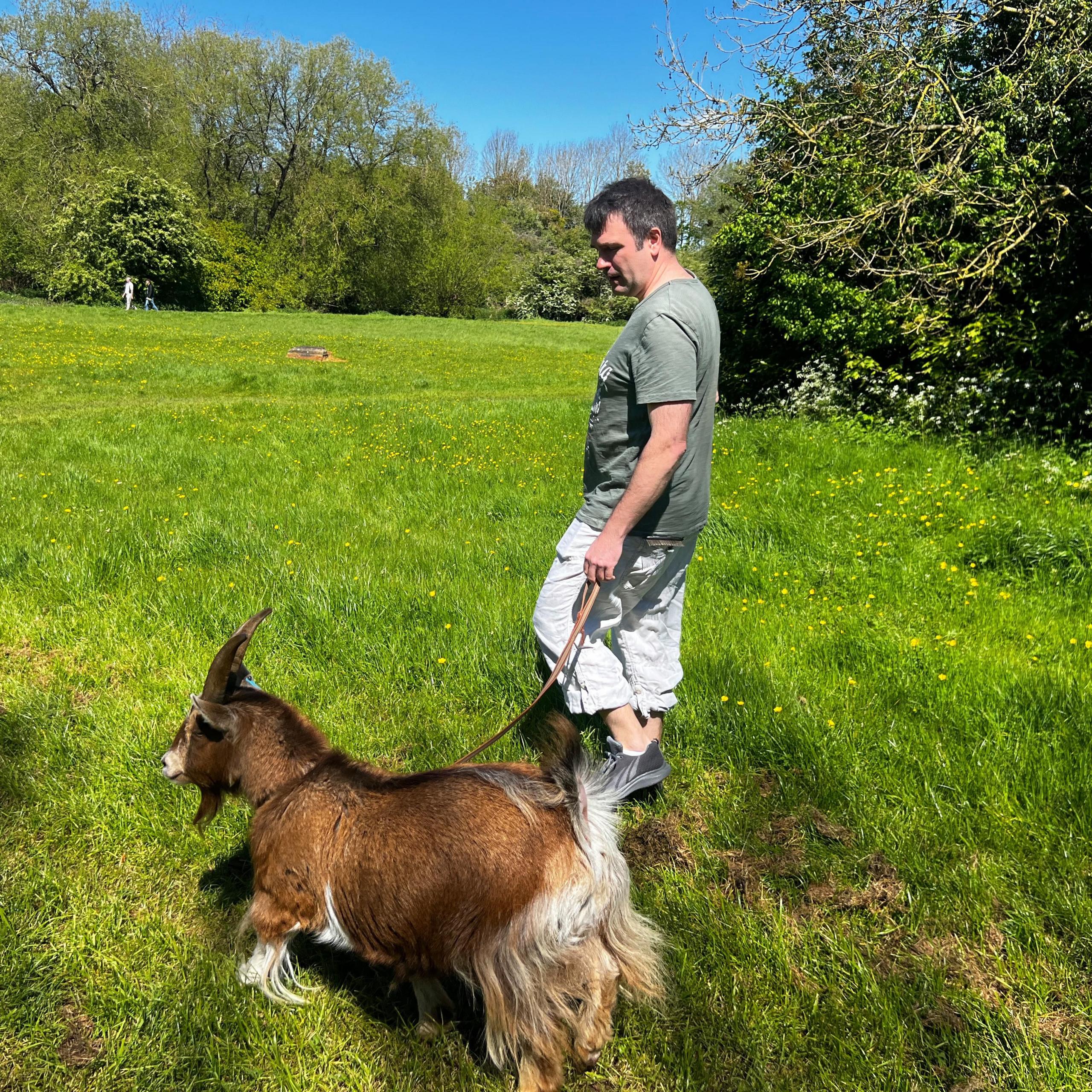 Boo being walked in a park by David