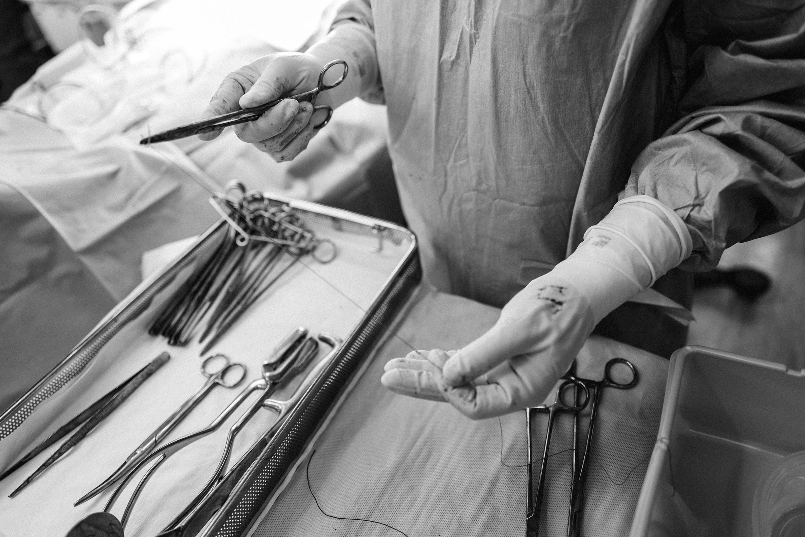 A staff member's gloved hands preparing surgical tools. One hand holds a pair of forceps, guiding a needle and thread, while a tray of surgical instruments lies beside them.