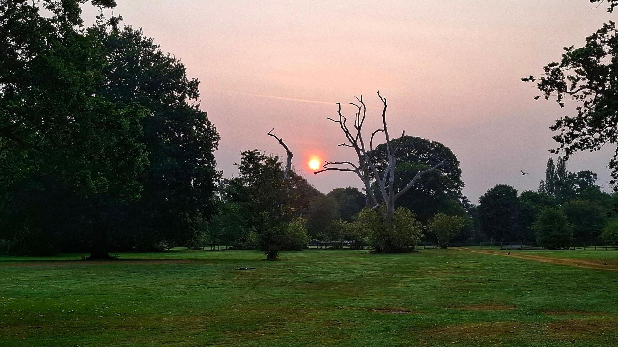 View of the sunset from a park in Northampton