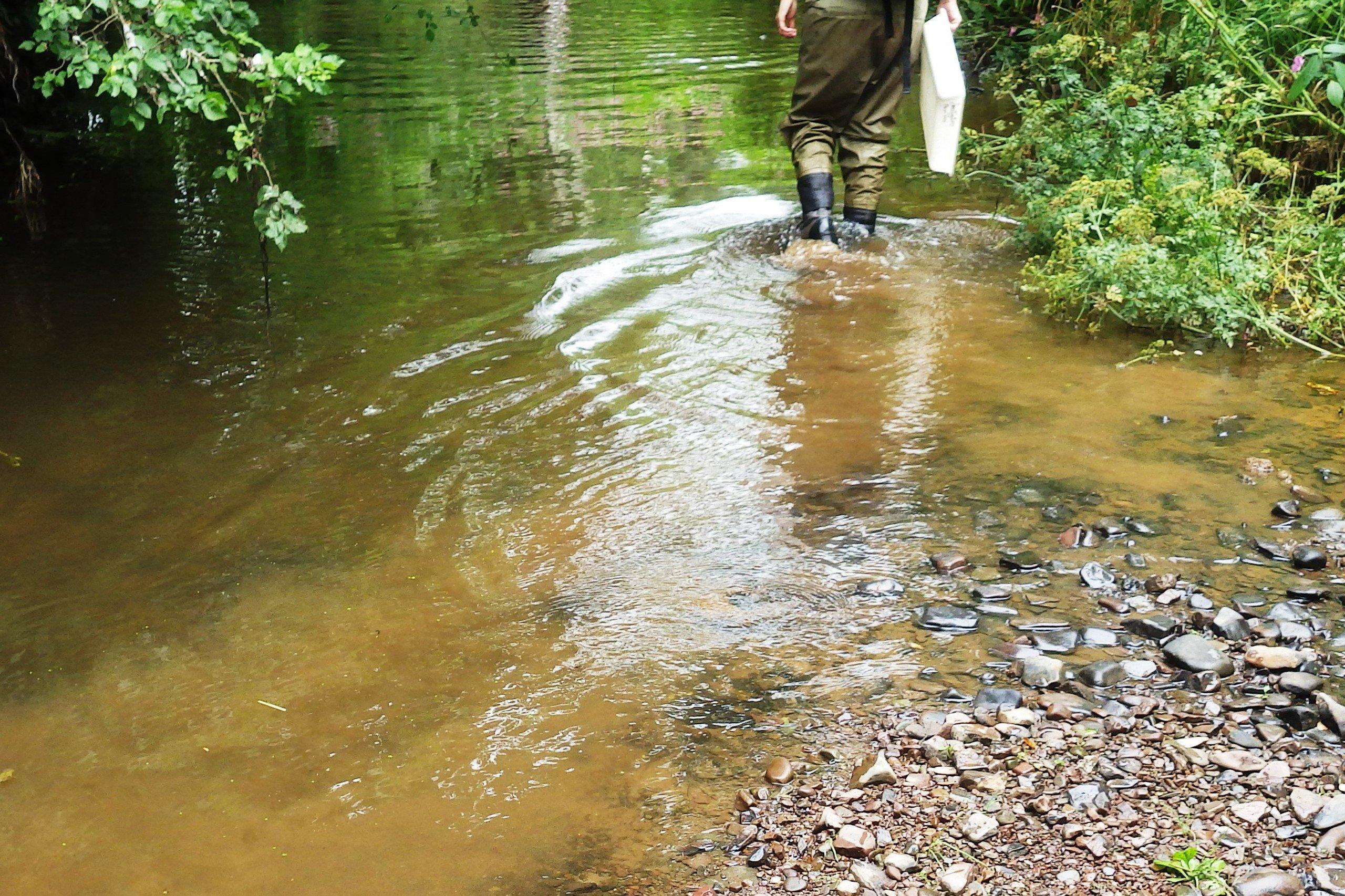 River Creedy in Crediton