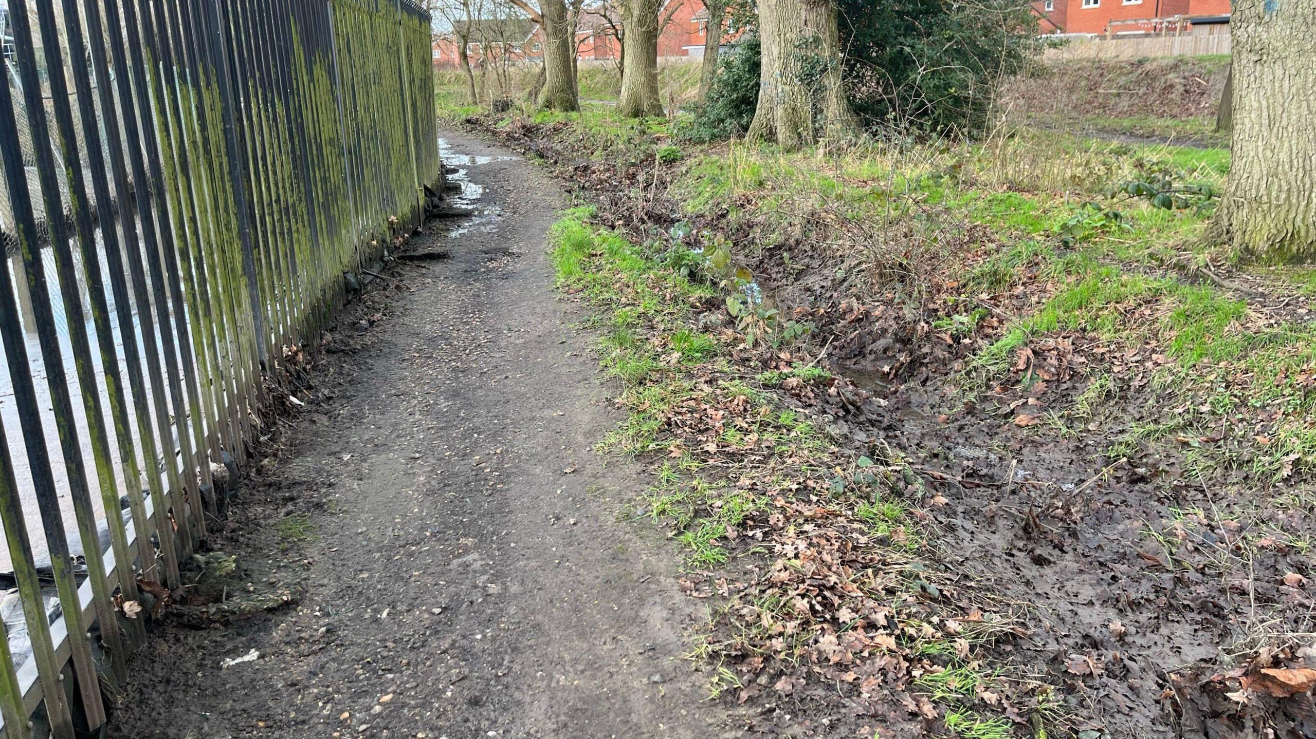 Footpath contaminated by sewage at Horley