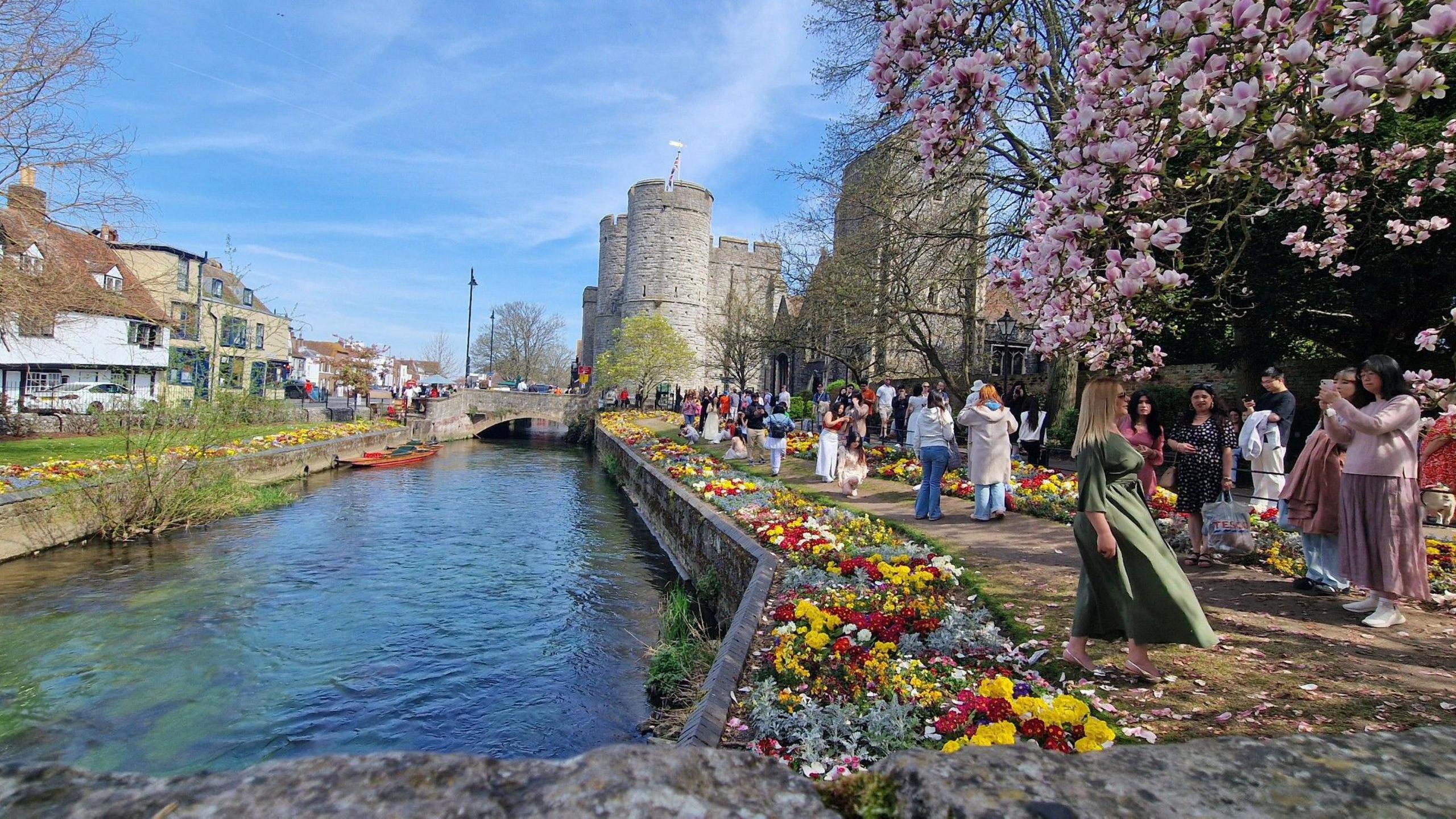A long view of the flower beds, with scores of people walking beside them and Westgate Towers in the background, and the River Stour beside it.