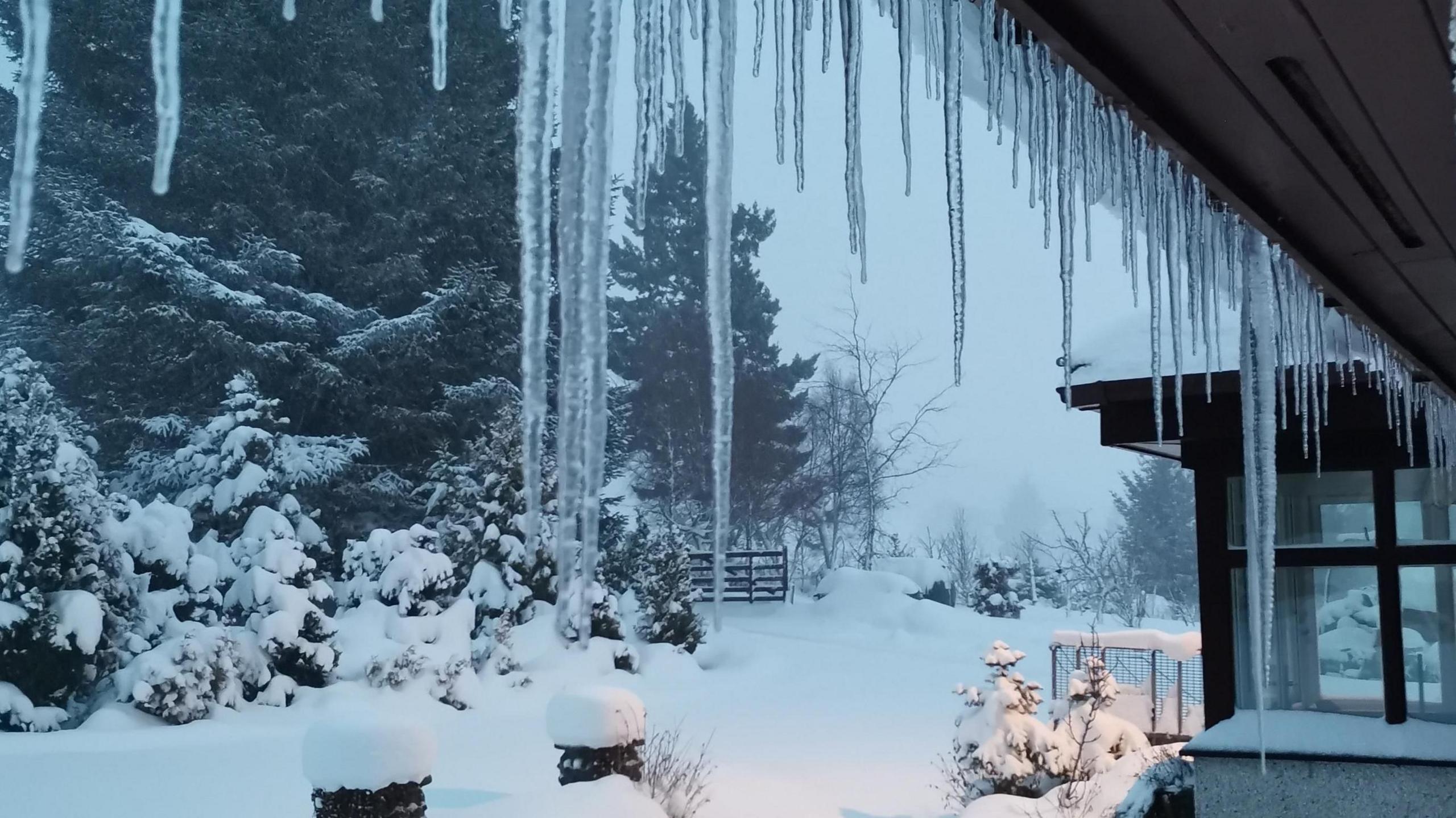 Long pointed icicles hang from a roof with a snowy landscape behind