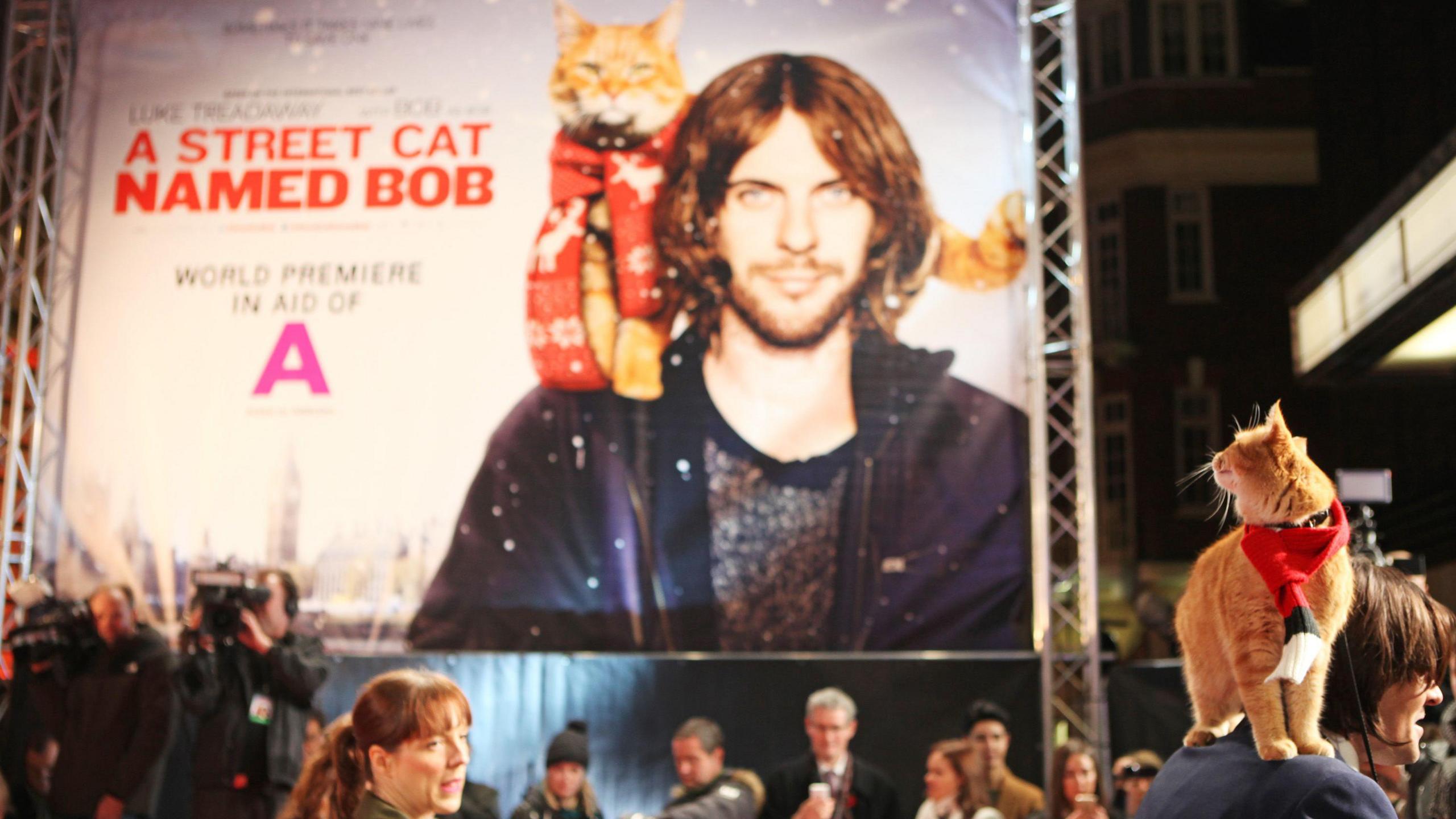 A Street Cat Named Bob premiere - shows the ginger cat who played bob in a crowd looking at the film poster