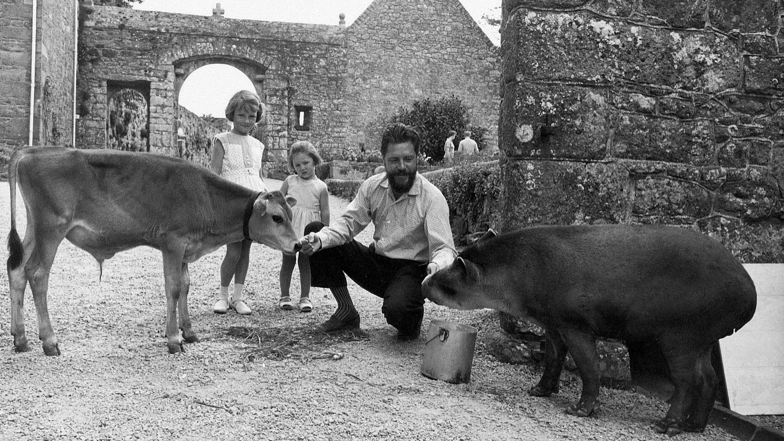 Gerald Durrell is feeding a Jersey calf with one hand, and a tapir with another hand. Two children are behind him, watching. He is in front of granite buildings.