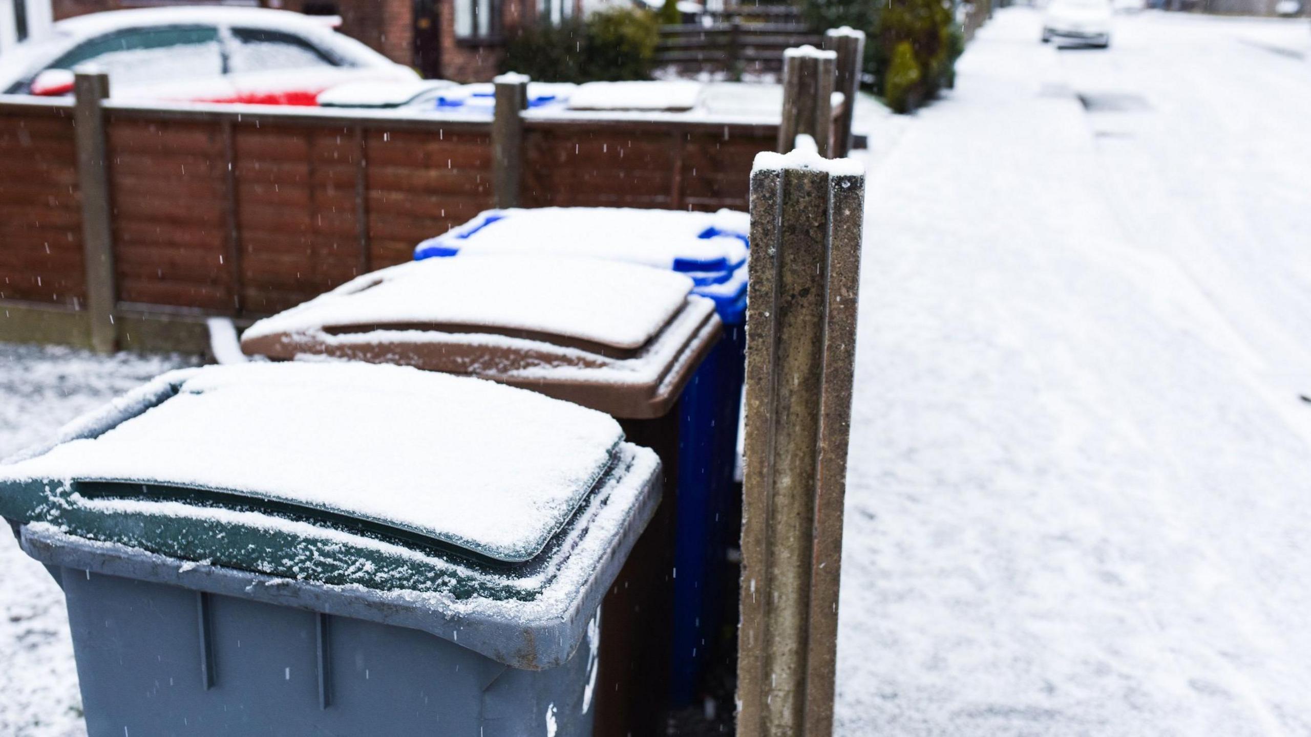 Three bins behind a fence in a front garden covered in snow.