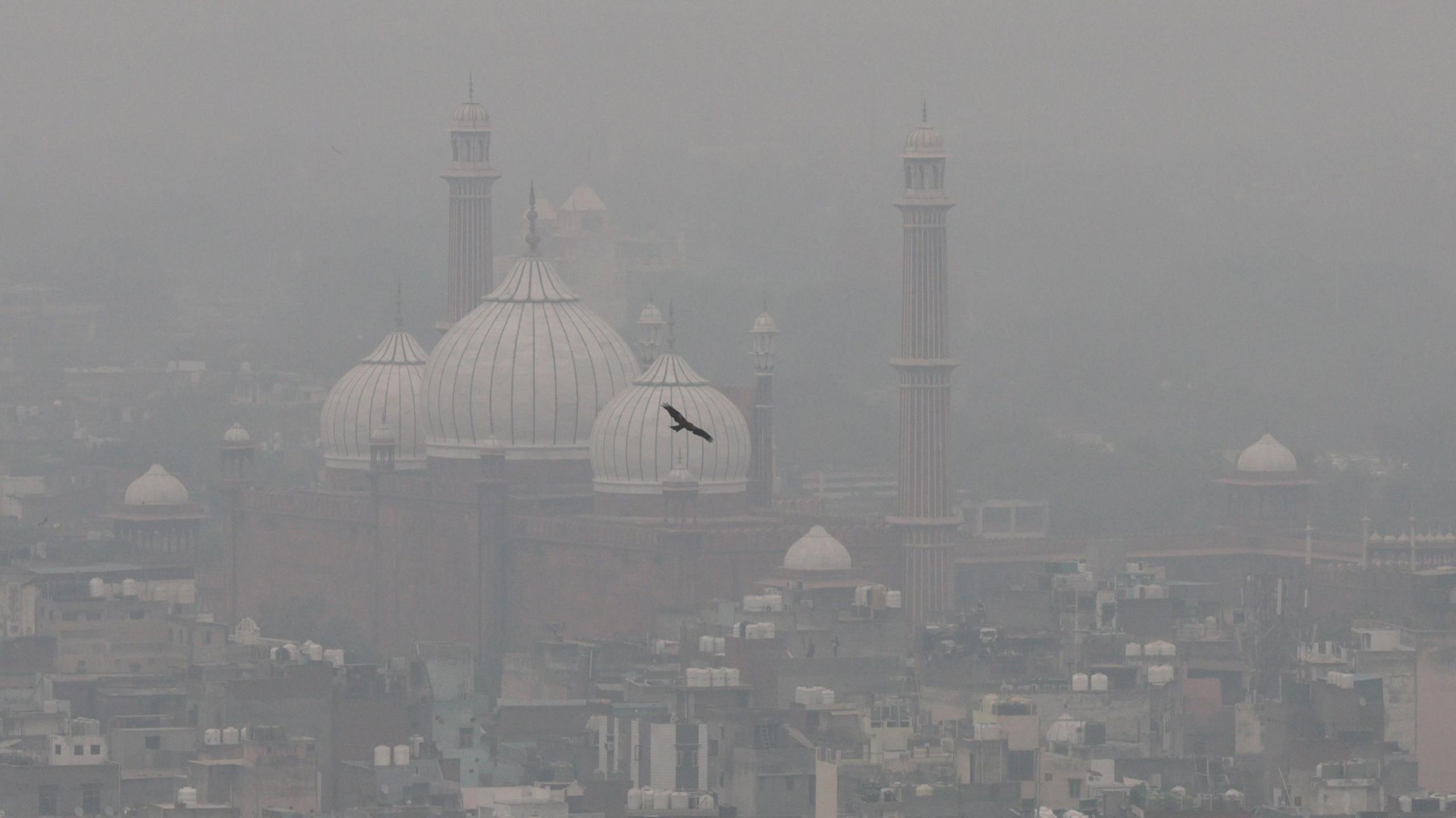 A view of the Jama Masjid mosque amid heavy smog in New Delhi, India. A bird flies in front of the white domes of the mosque.