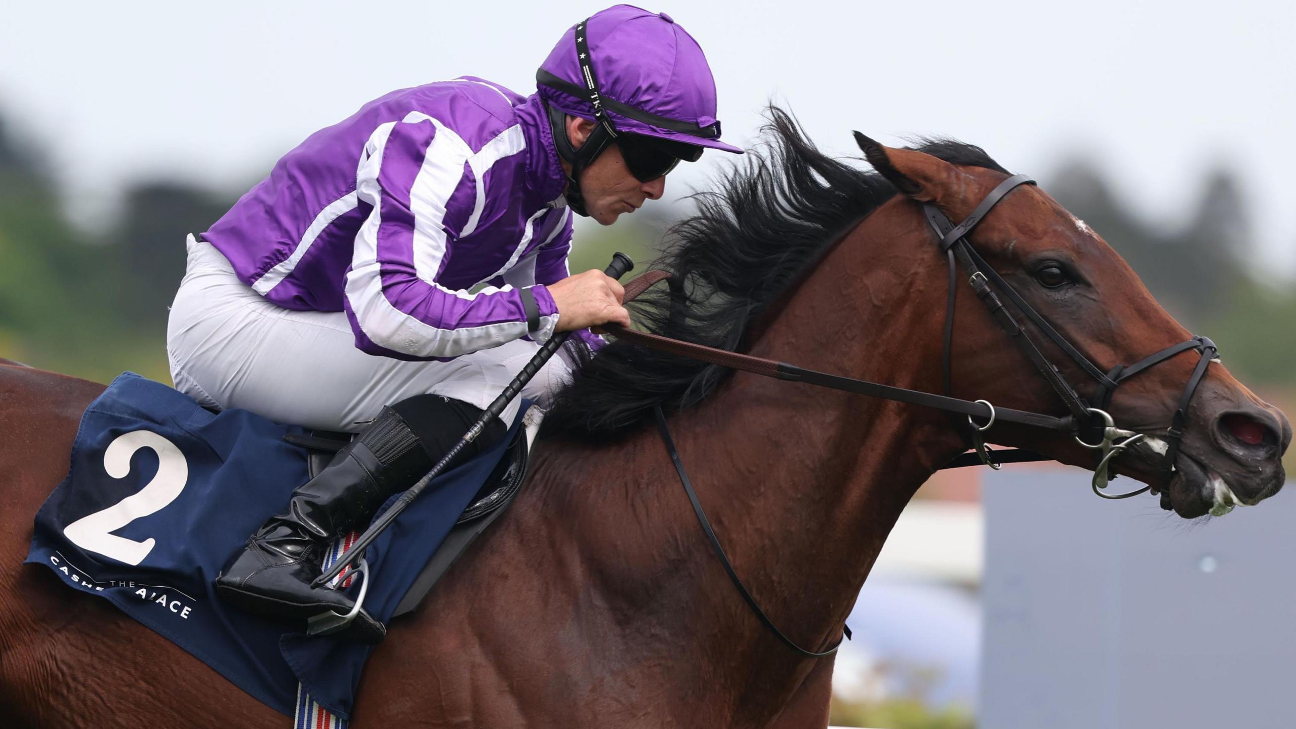 Delacroix winning at Leopardstown