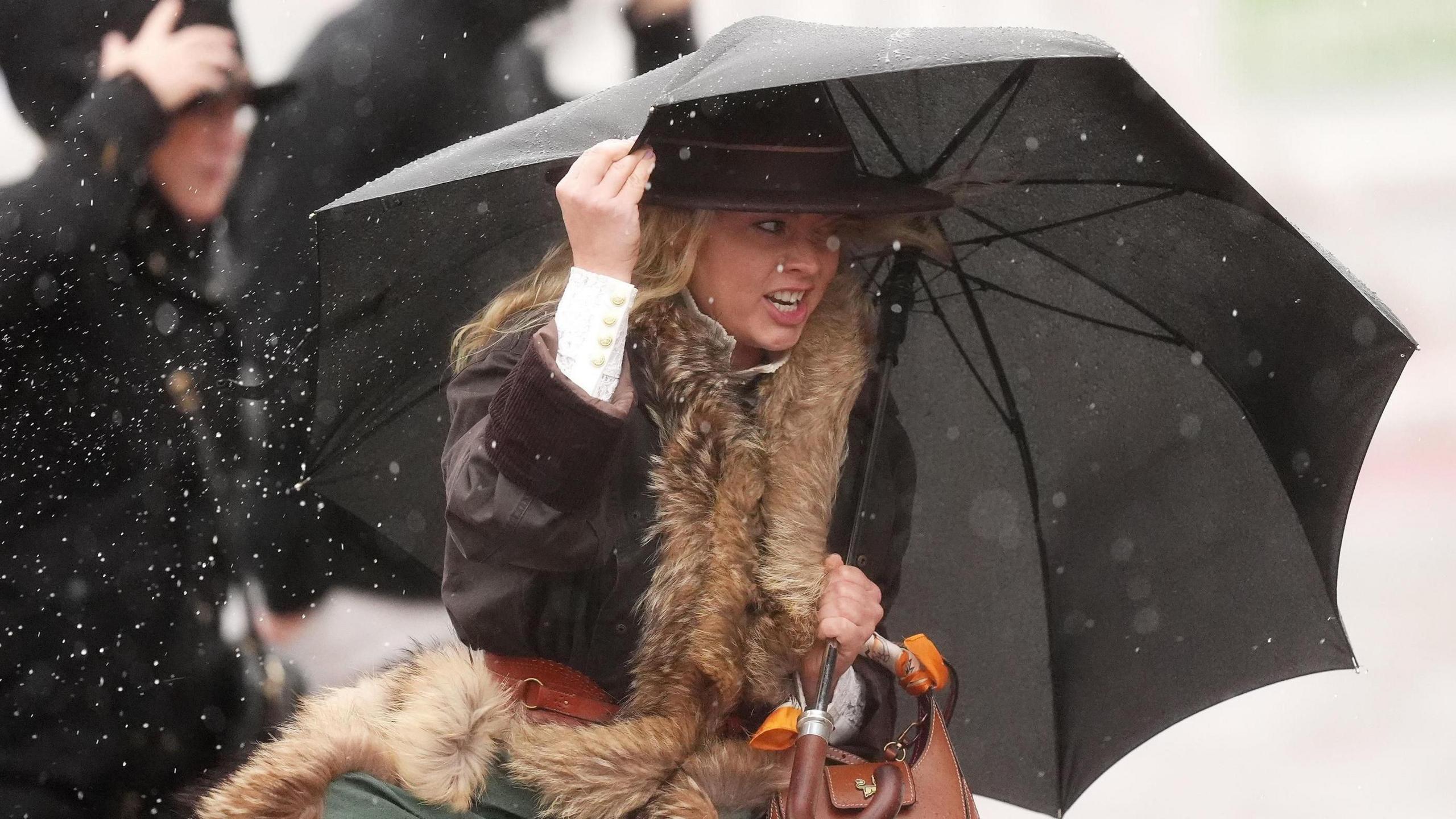 A woman dressed in a brown coat with a wide-brimmed brown felt hat clutches a black umbrella as she struggles through the wind at Cheltenham racecourse. She carries a brown handbag and has a fur stole around her neck.