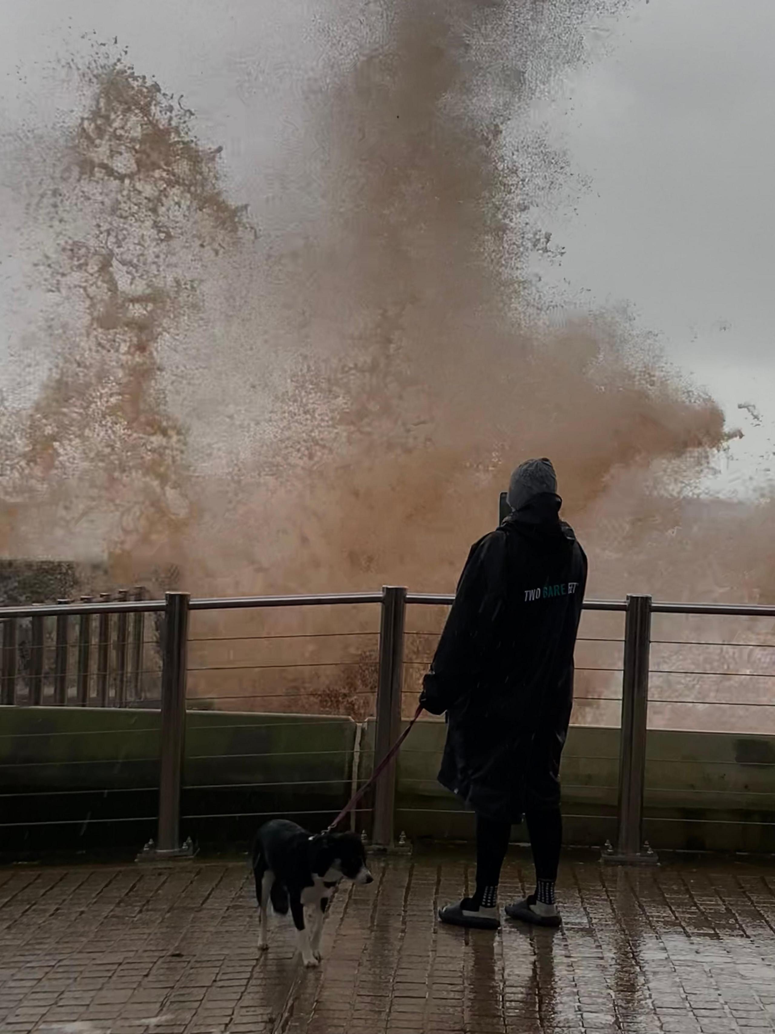 A person walking a dog takes a photo of a crashing wave