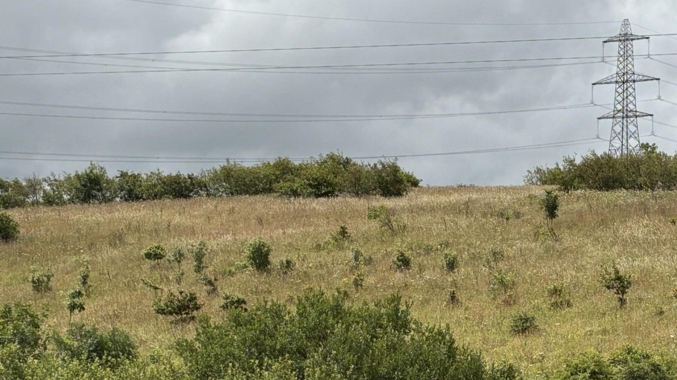 Some rolling countryside dotted with hedges and a pylon with wires in the background. 