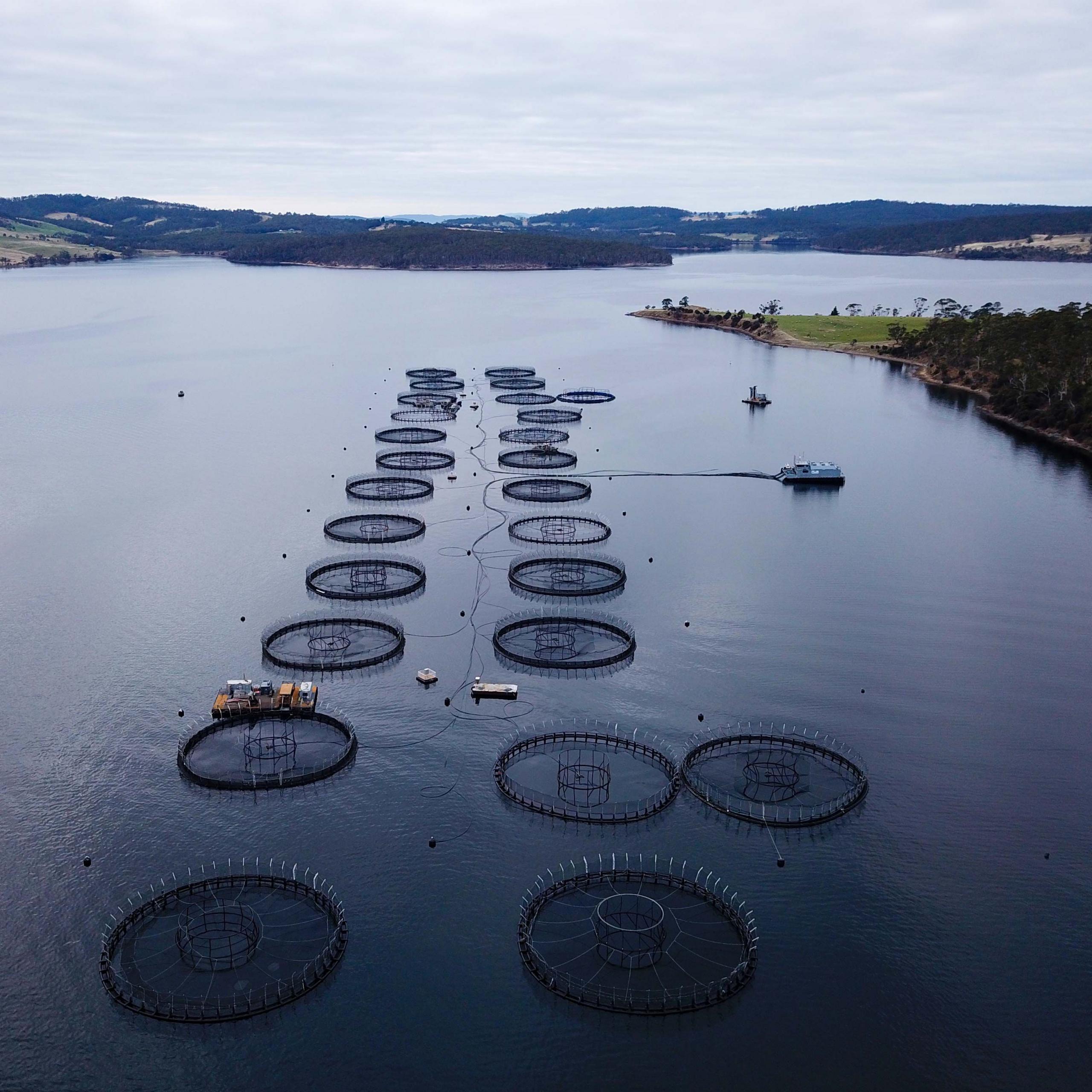 Aerial shot of salmon ponds off Bruny Island Tasmania