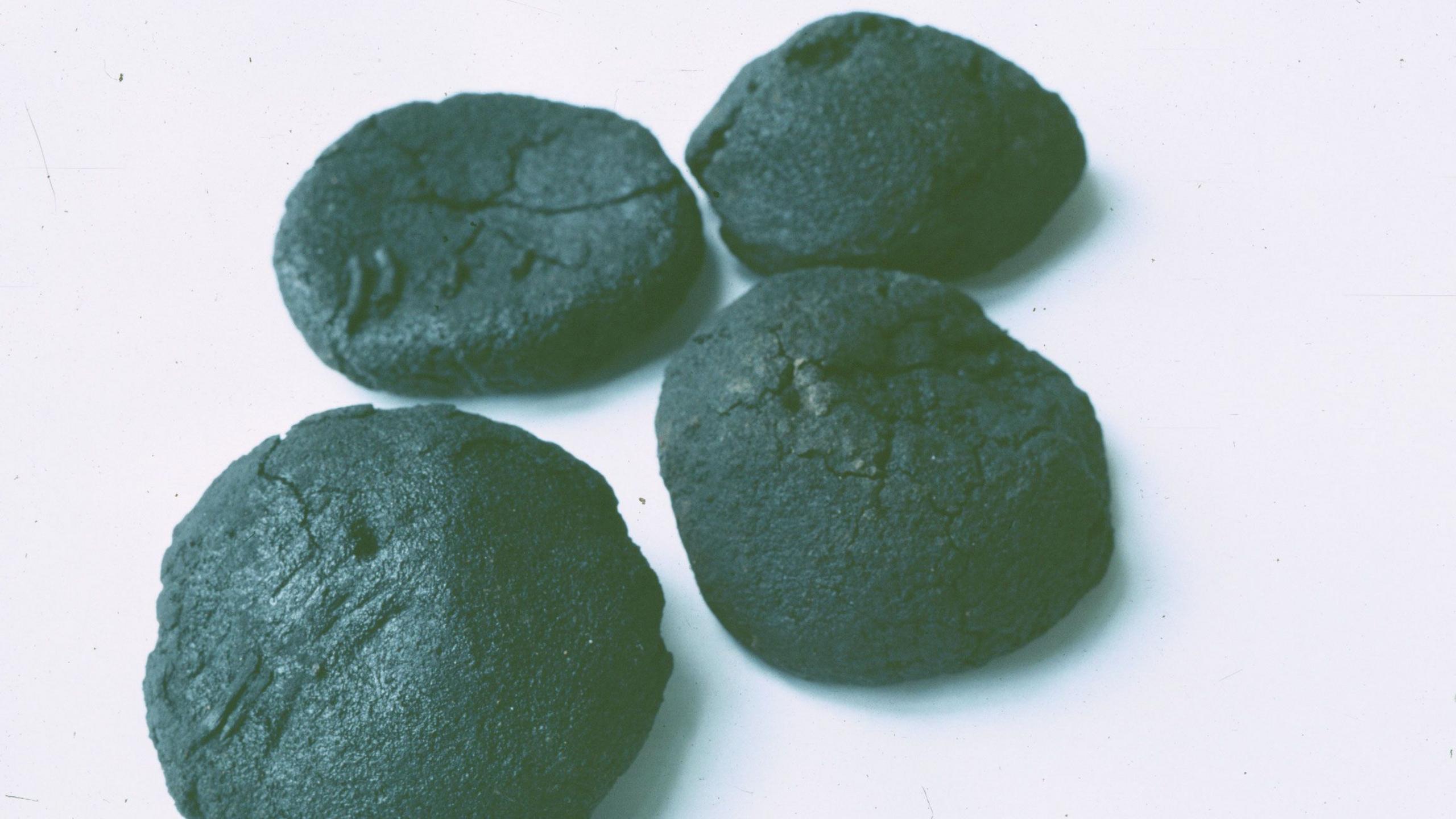 A blurry 1980s-era image showing four carbonised bread rolls resting on a white background.