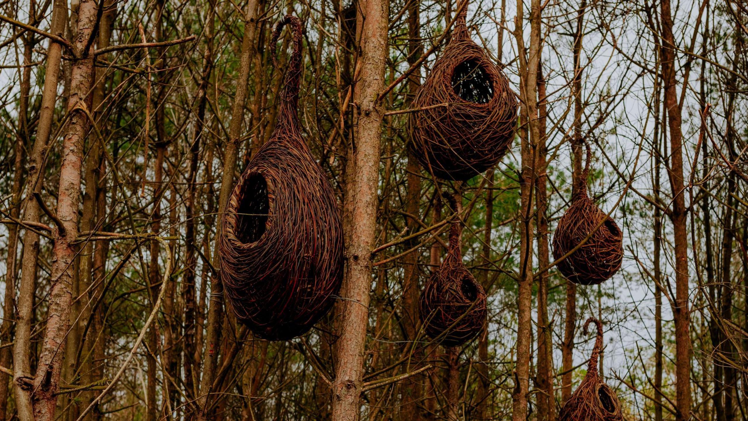 Sculptures in the design of bird nests hang from the trees. 