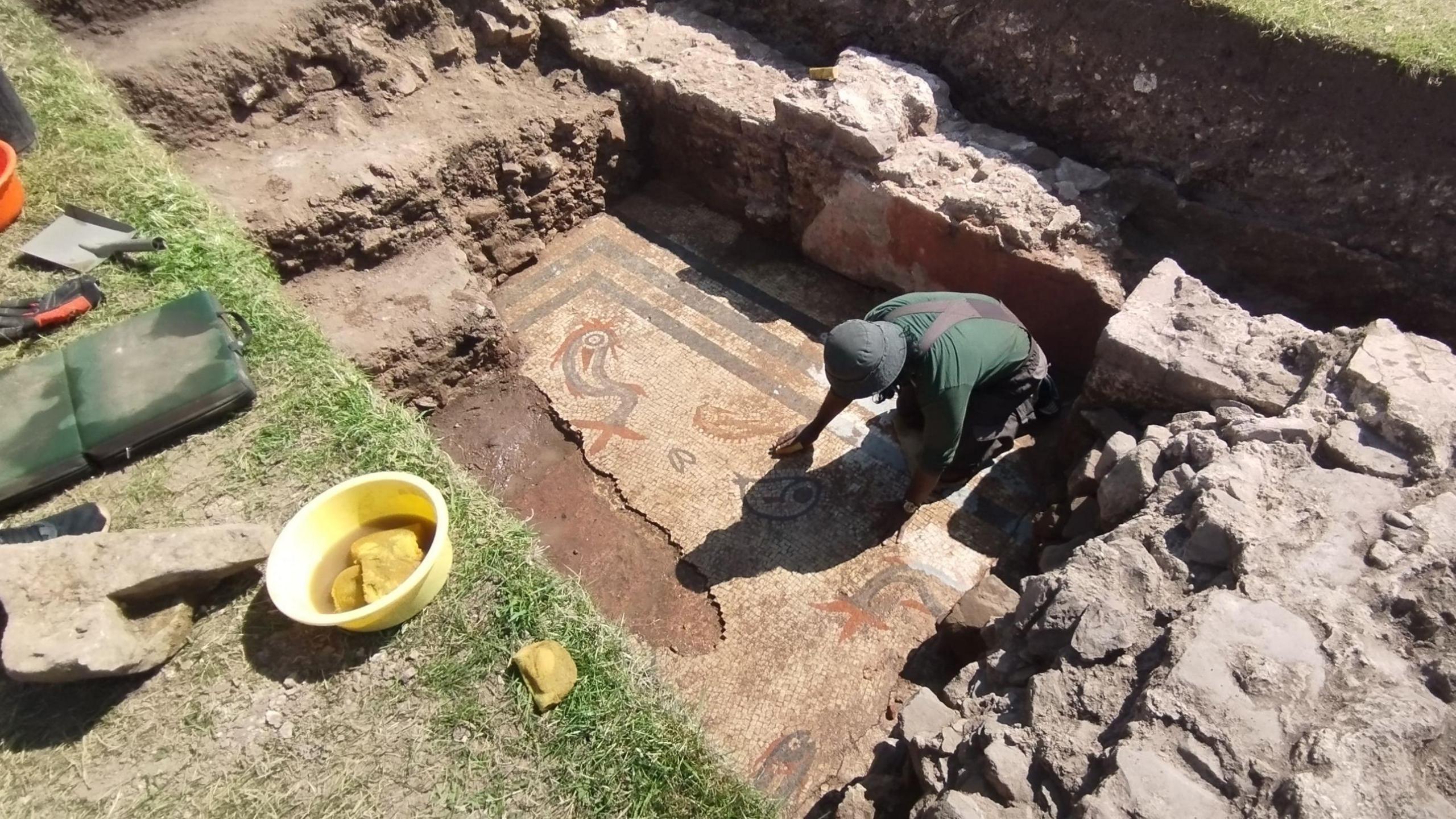 A shot from height showing a person wiping a Roman mosaic which is in the ground below. The shot is from a green grass ledge, which has a yellow bowl on the edge of it. There are stones surrounding the mosaic. The background of it is white/beige and there are blue rectangle borders. There are blue and orange tiles depicting dolphins and fish. There is a large hole in the bottom left of it, exposing brown stone underneath. The mosaic is stained slightly brown from mud. The person is wearing a green t-shirt and a hat, with black overalls.