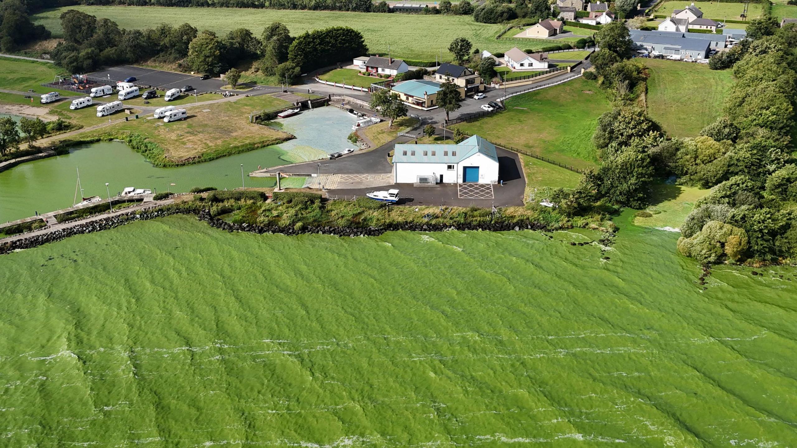 Taken from the sky we see green water lapping against the shoreline. It is difficult to see where the green water ends and the green fields begin.